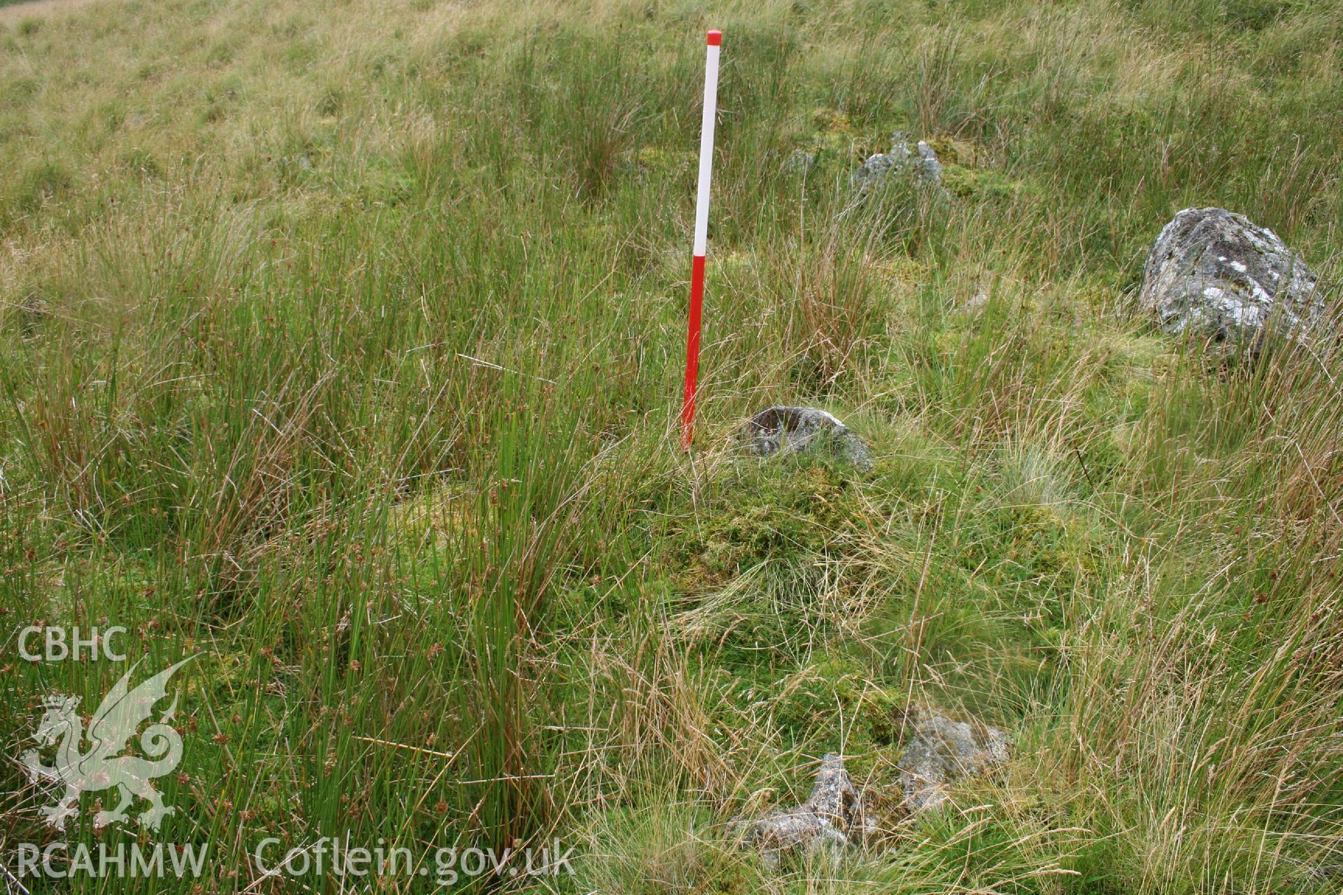 Digital Colour photograph of Ffridd Craig Henllan building platform II taken on 31/07/2008 by P.J. Schofield during the Arenig Fach Upland Survey undertaken by Oxford Archaeology North.