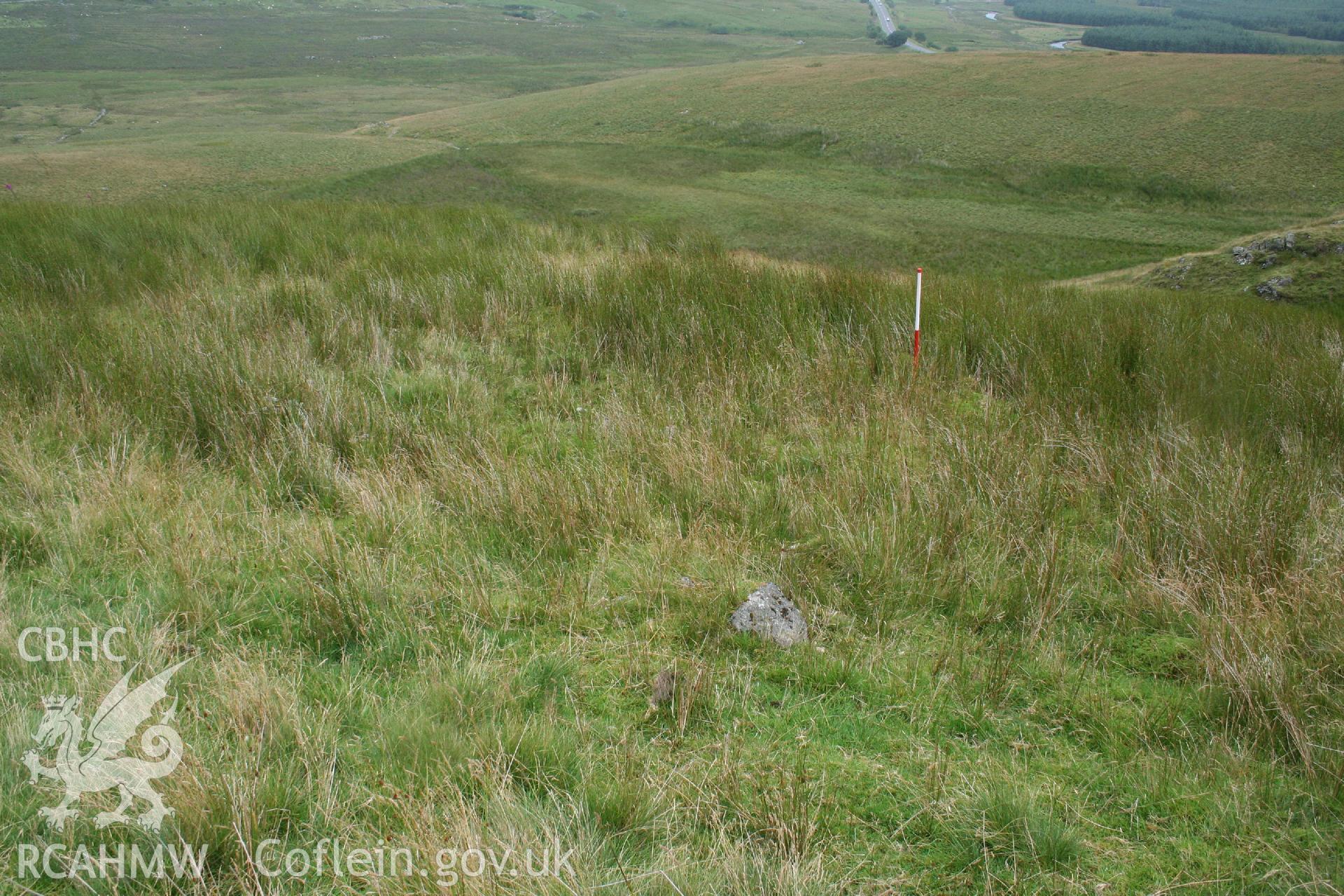 Digital Colour photograph of Ffridd Craig Henllan building platform I taken on 31/07/2008 by P.J. Schofield during the Arenig Fach Upland Survey undertaken by Oxford Archaeology North.