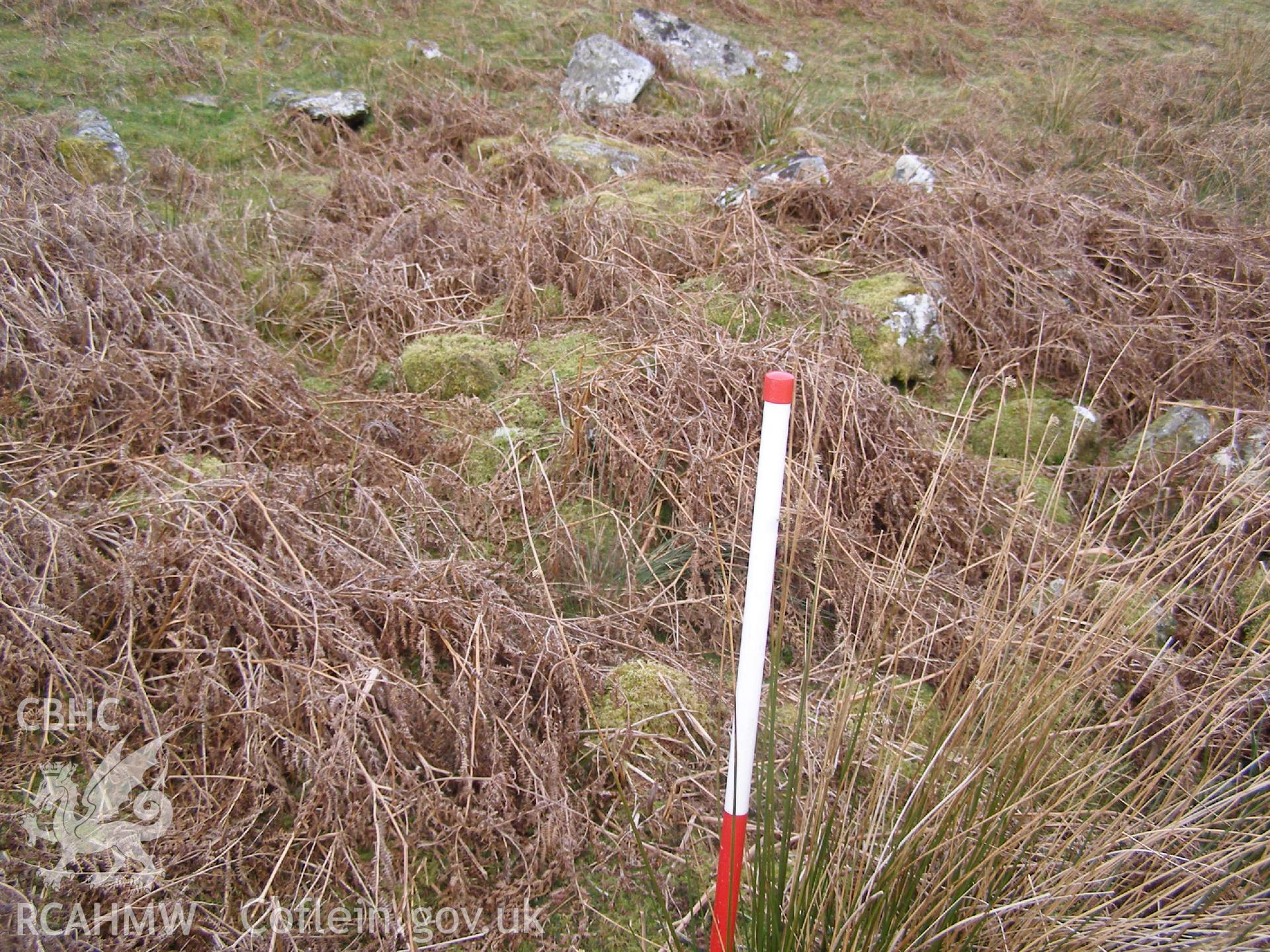 Digital Colour photograph of Craig y Garn longhouse IV taken on 23/02/2009 by P.J. Schofield during the Arenig Fach Upland Survey undertaken by Oxford Archaeology North.