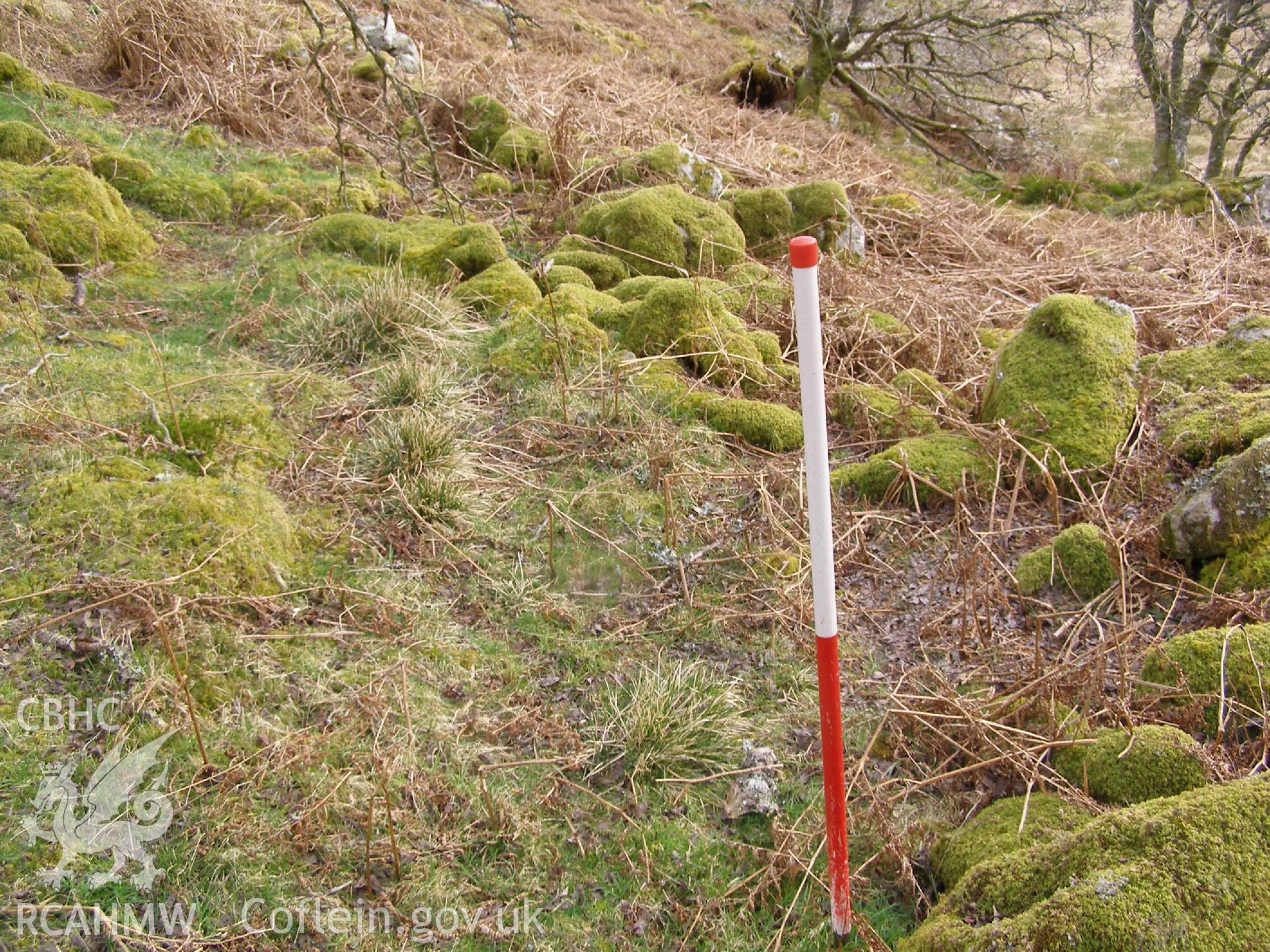 Digital Colour photograph of Ffridd Bwich-Graianog boundary wall I taken on 24/02/2009 by P.J. Schofield during the Arenig Fach Upland Survey undertaken by Oxford Archaeology North.