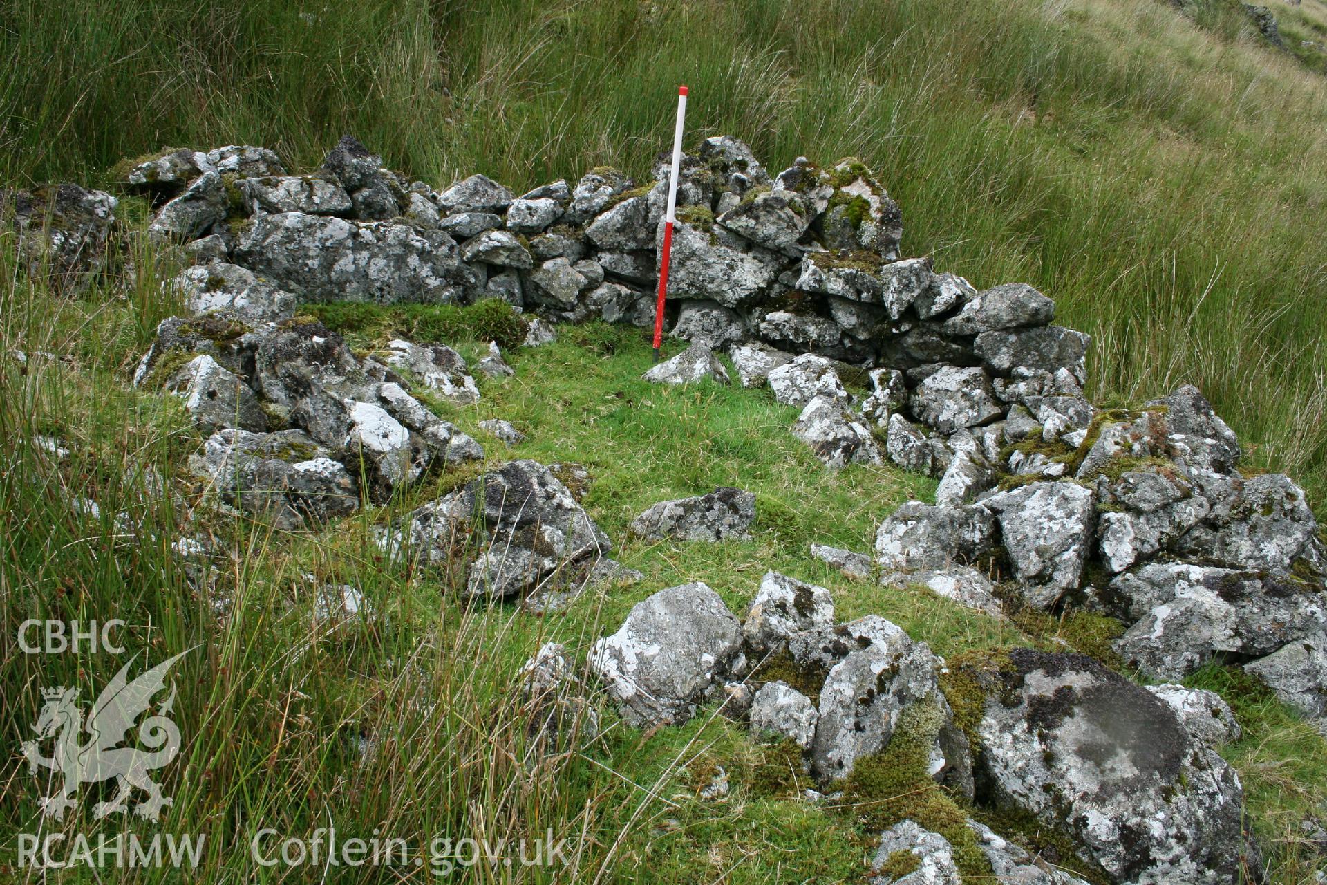 Digital Colour photograph of Craig Henllan hafod II taken on 31/07/2008 by P.J. Schofield during the Arenig Fach Upland Survey undertaken by Oxford Archaeology North.