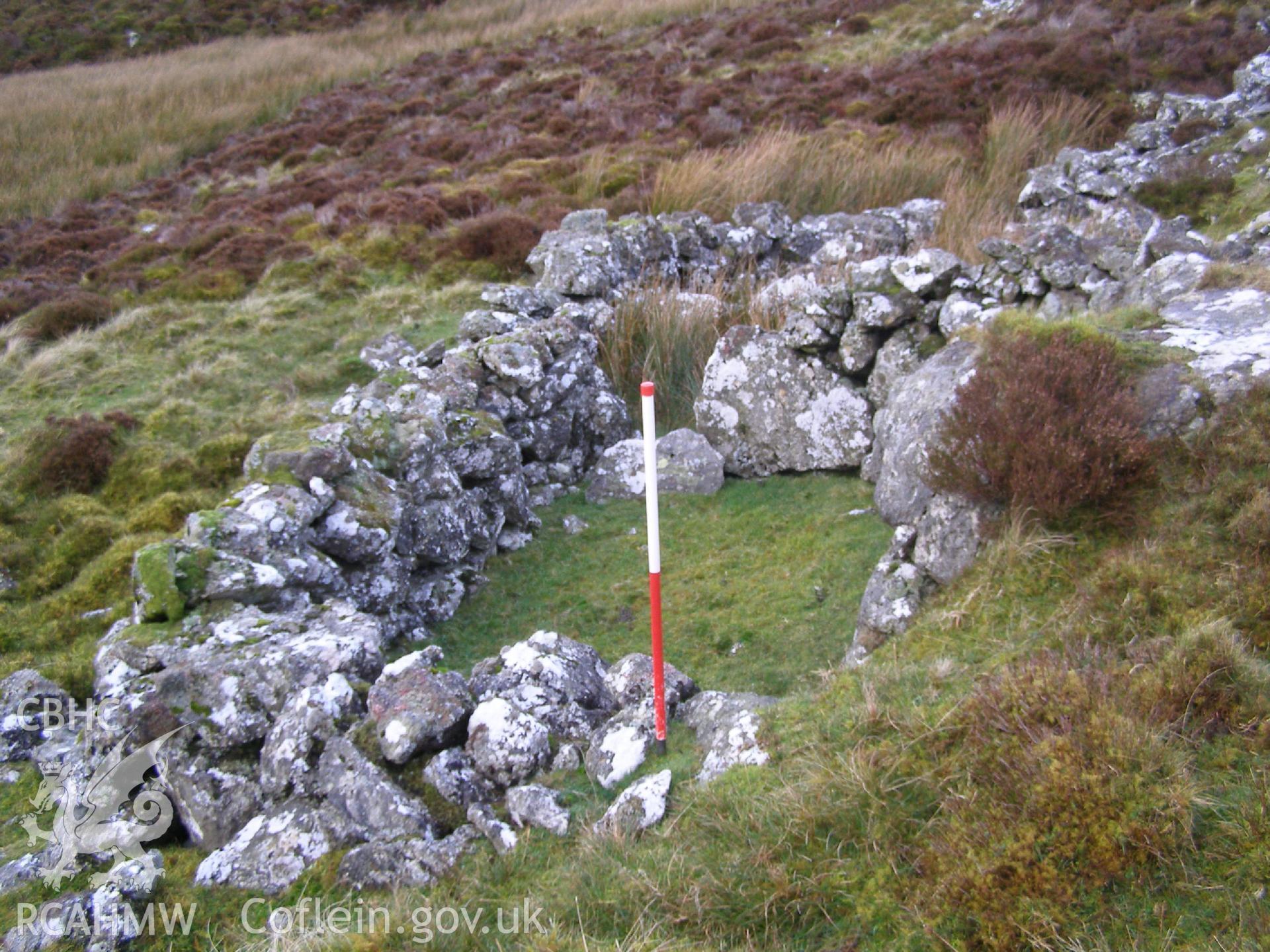 Digital Colour photograph of Grib Las sheep fold II taken on 18/11/2008 by P.J. Schofield during the Arenig Fach Upland Survey undertaken by Oxford Archaeology North.
