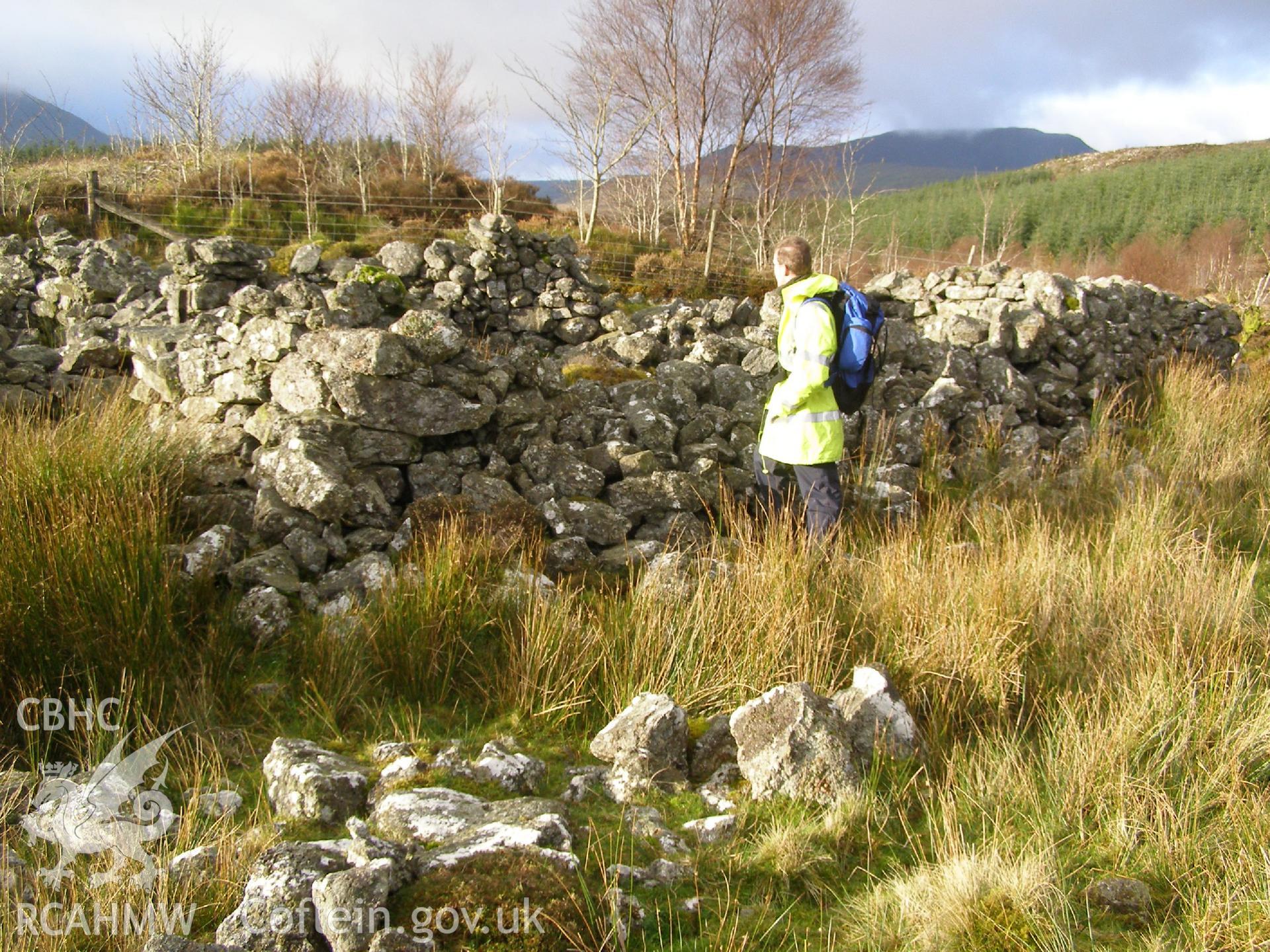 Digital Colour photograph of Moel Phylip sheep fold I taken on 20/11/2008 by P.J. Schofield during the Arenig Fach Upland Survey undertaken by Oxford Archaeology North.