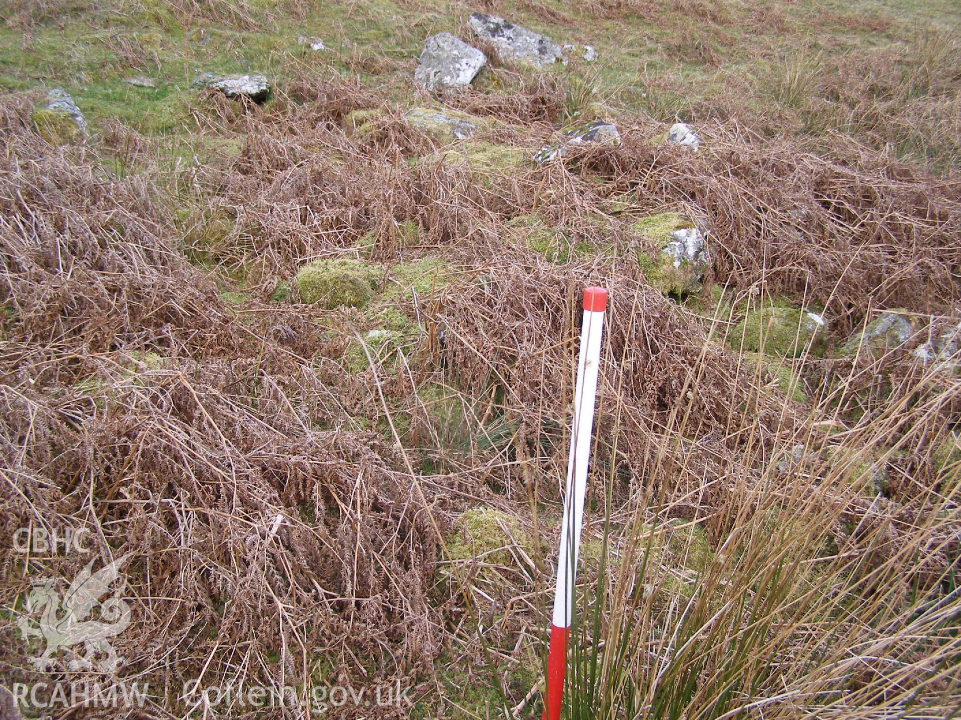 Digital Colour photograph of Craig y Garn longhouse IV taken on 23/02/2009 by P.J. Schofield during the Arenig Fach Upland Survey undertaken by Oxford Archaeology North.