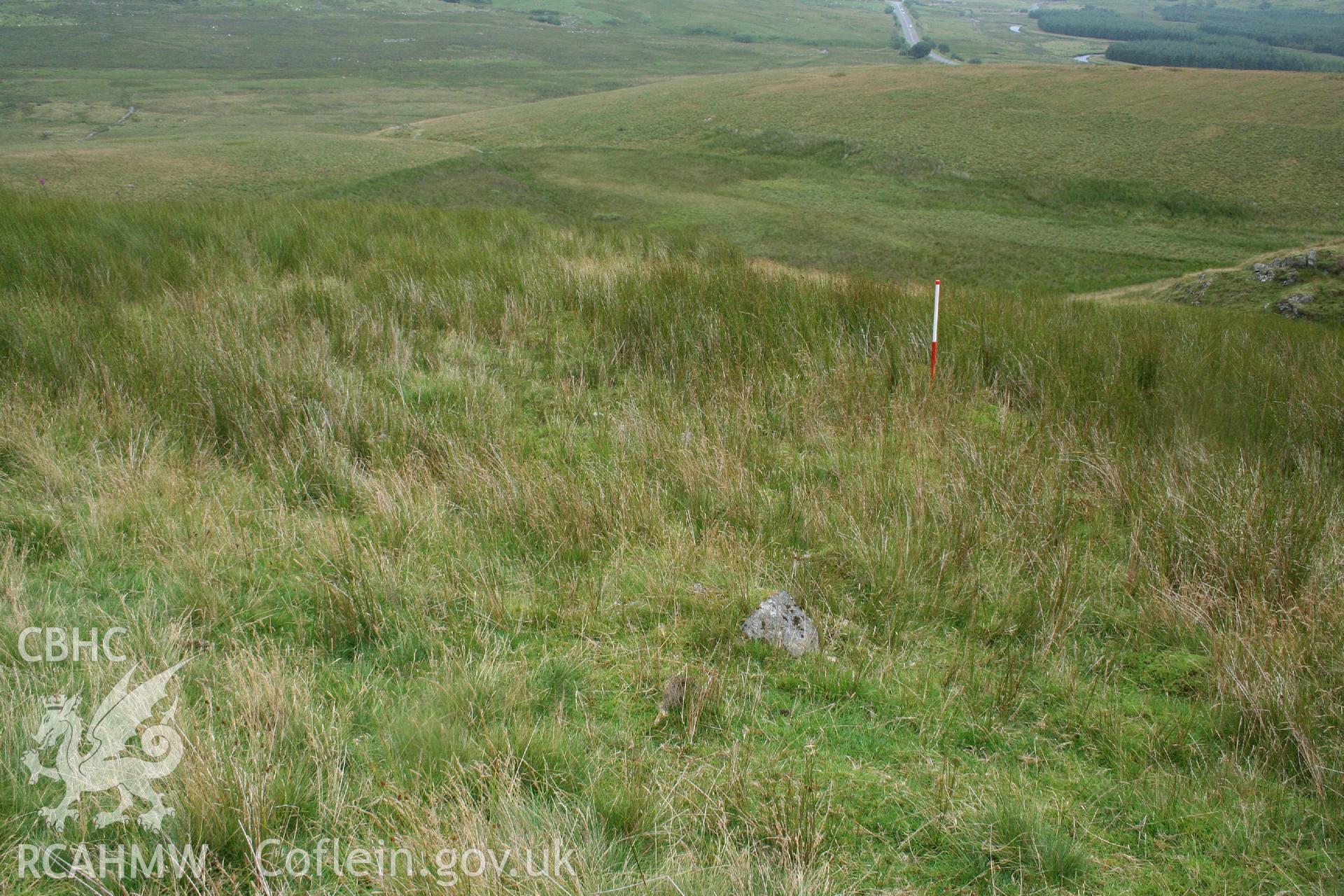 Digital Colour photograph of Ffridd Craig Henllan building platform I taken on 31/07/2008 by P.J. Schofield during the Arenig Fach Upland Survey undertaken by Oxford Archaeology North.