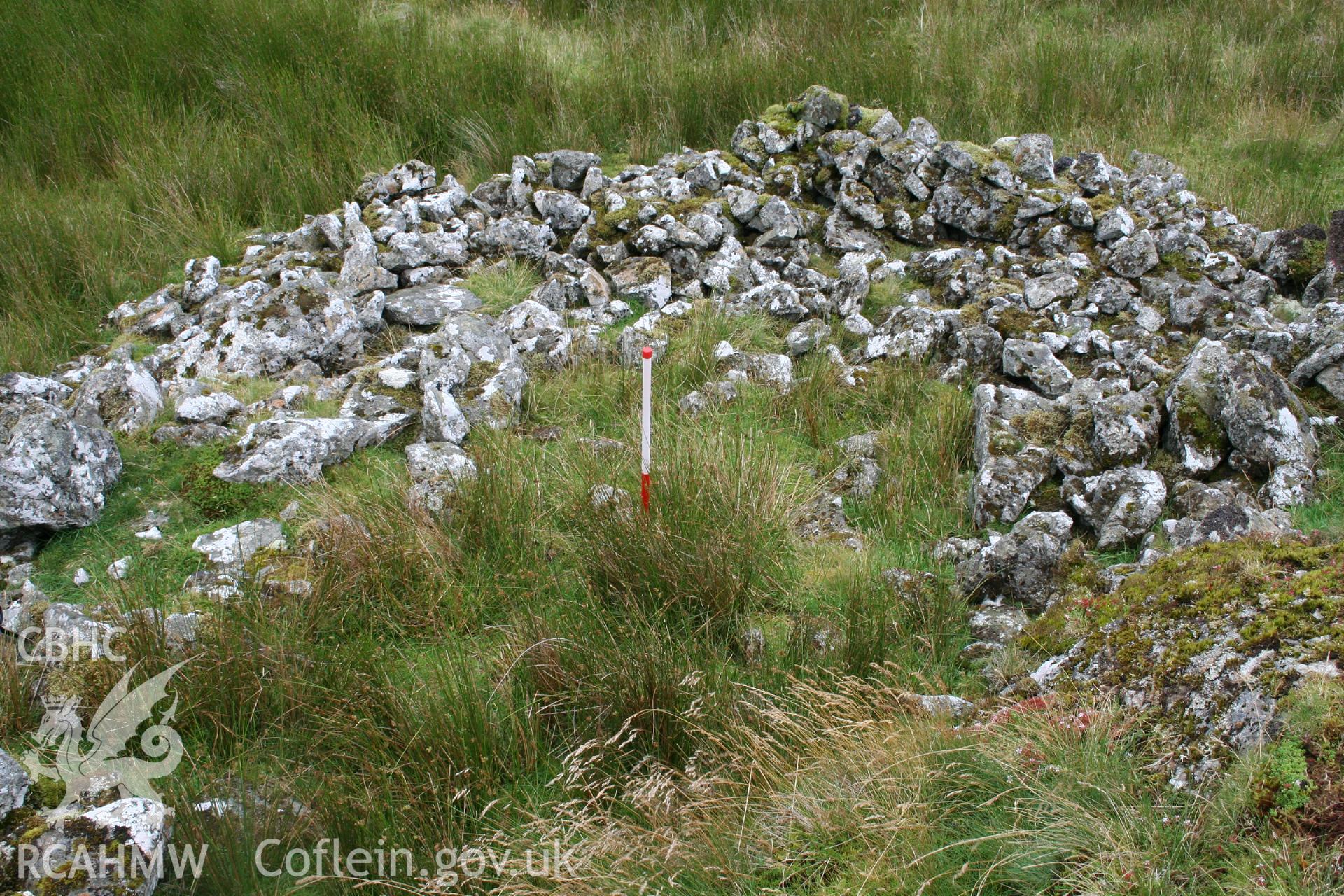 Digital Colour photograph of Ffridd Craig Henllan hafod II taken on 31/07/2008 by P.J. Schofield during the Arenig Fach Upland Survey undertaken by Oxford Archaeology North.