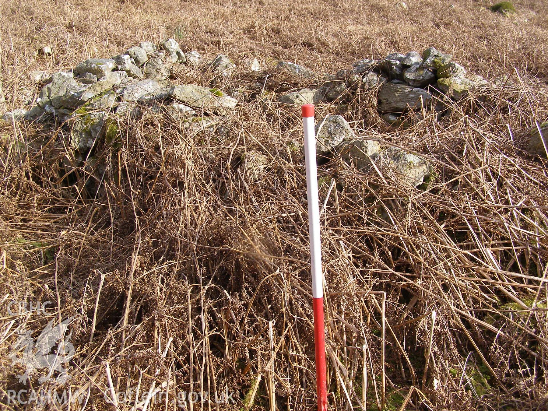 Digital Colour photograph of Ffridd Bwich-Graianog longhouse II taken on 24/02/2009 by P.J. Schofield during the Arenig Fach Upland Survey undertaken by Oxford Archaeology North.