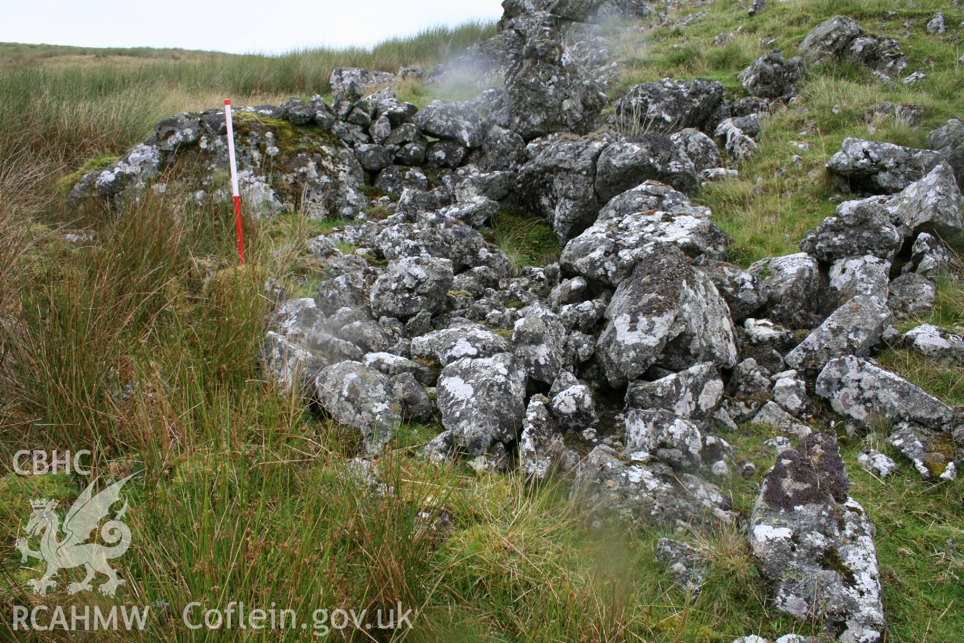 Digital Colour photograph of Ffridd Craig Henllan building platform III taken on 31/07/2008 by P.J. Schofield during the Arenig Fach Upland Survey undertaken by Oxford Archaeology North.