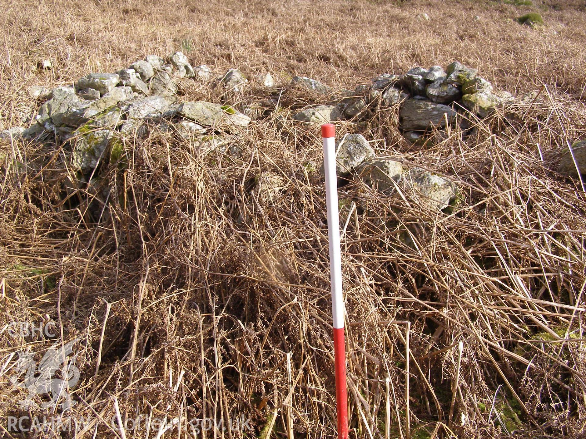 Digital Colour photograph of Ffridd Bwich-Graianog longhouse II taken on 24/02/2009 by P.J. Schofield during the Arenig Fach Upland Survey undertaken by Oxford Archaeology North.