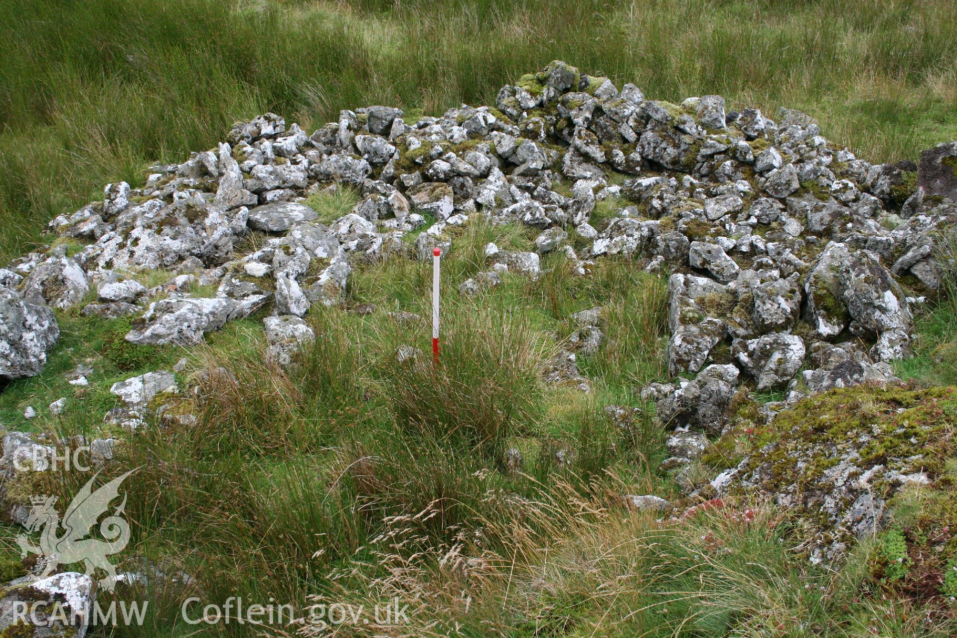 Digital Colour photograph of Ffridd Craig Henllan hafod II taken on 31/07/2008 by P.J. Schofield during the Arenig Fach Upland Survey undertaken by Oxford Archaeology North.