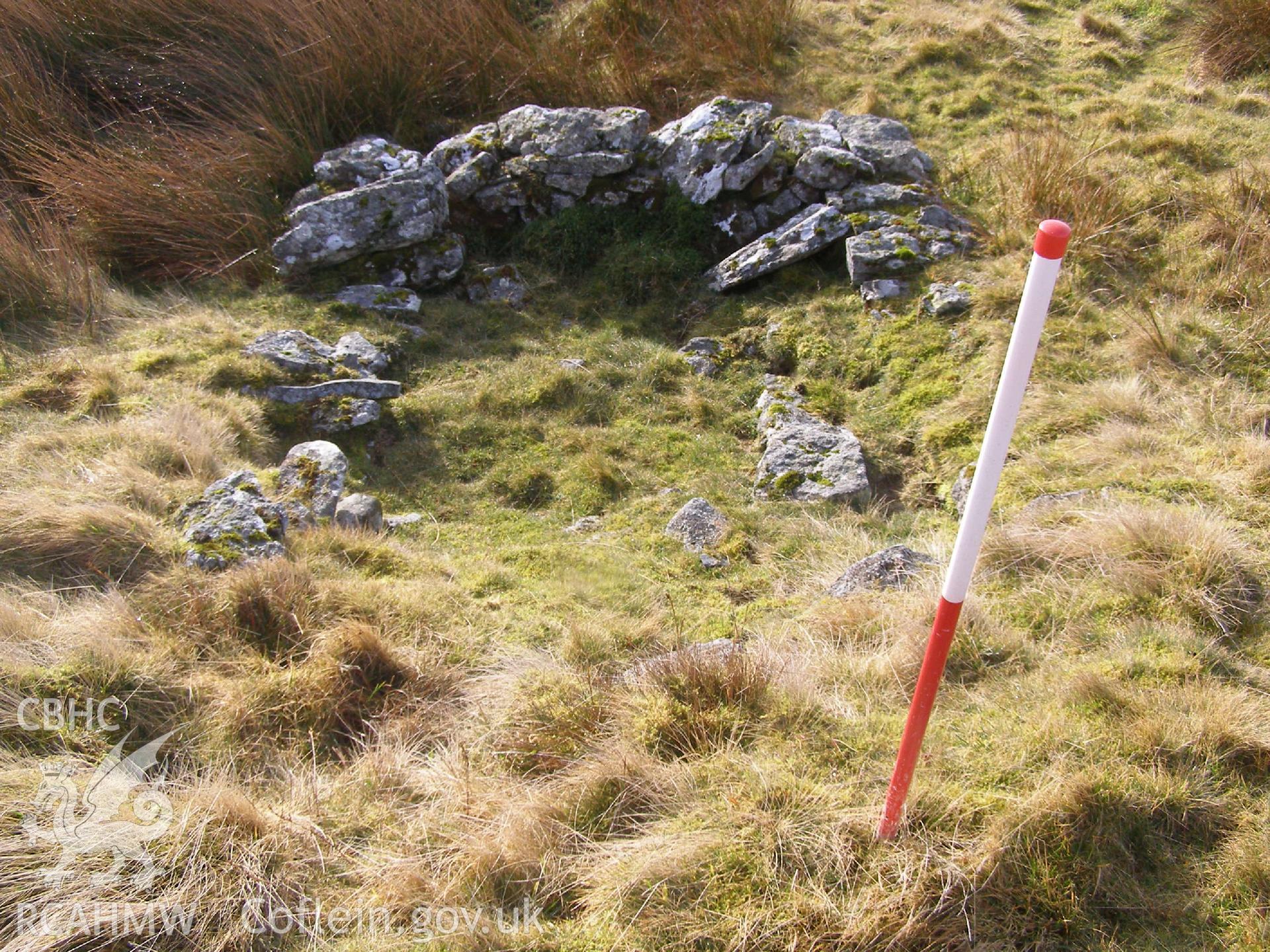 Digital Colour photograph of Trum Nant-Fach shepherds shelter taken on 25/02/2009 by P.J. Schofield during the Arenig Fach Upland Survey undertaken by Oxford Archaeology North.