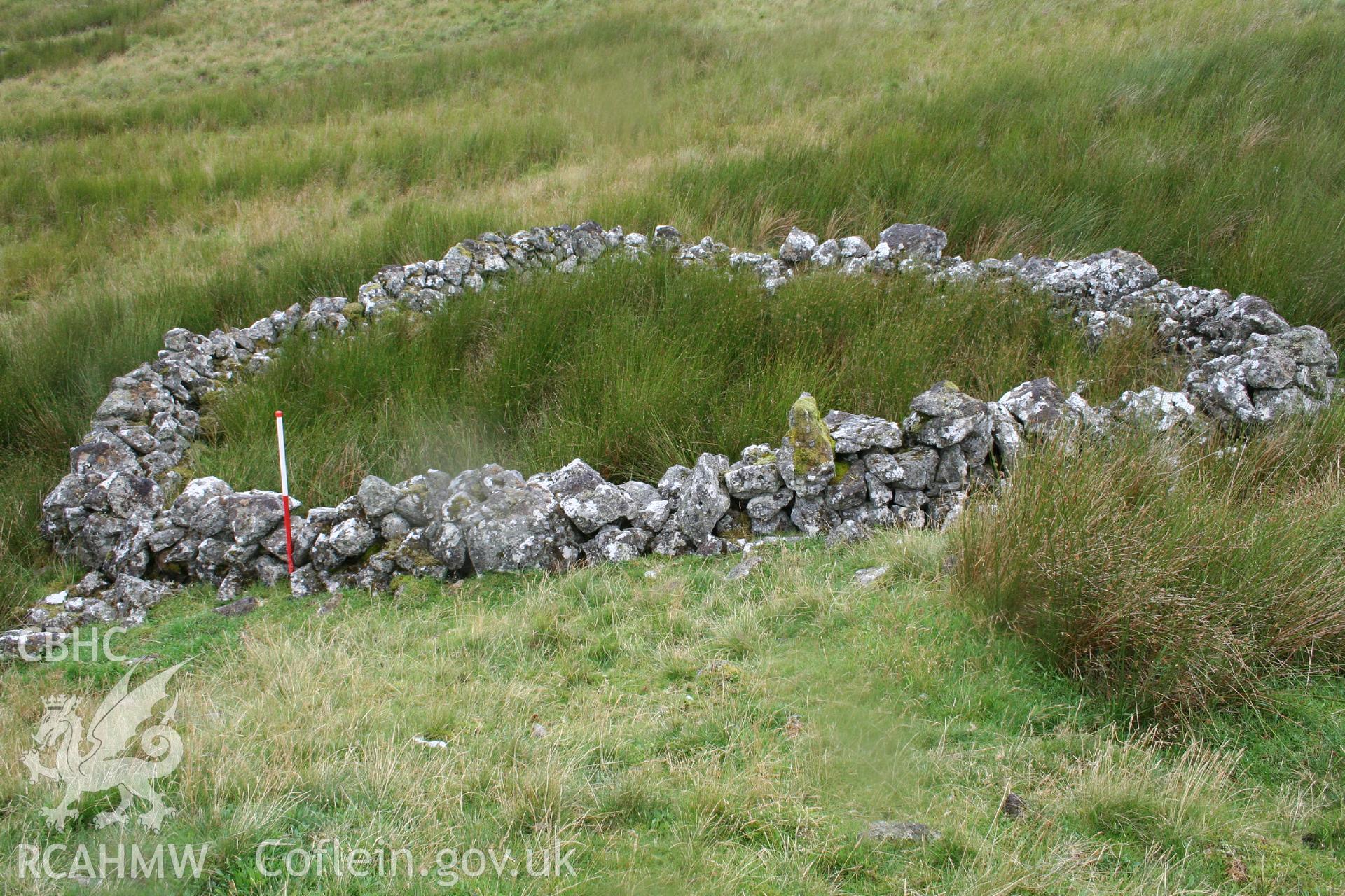 Digital Colour photograph of Ffridd Craig Henllan sheep fold II taken on 31/07/2008 by P.J. Schofield during the Arenig Fach Upland Survey undertaken by Oxford Archaeology North.