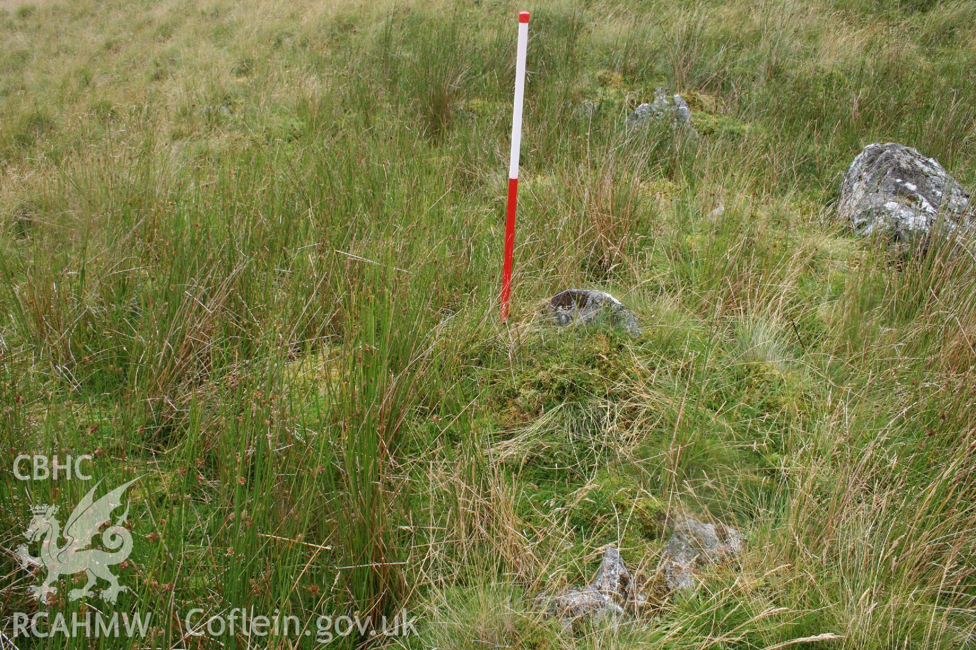 Digital Colour photograph of Ffridd Craig Henllan building platform II taken on 31/07/2008 by P.J. Schofield during the Arenig Fach Upland Survey undertaken by Oxford Archaeology North.