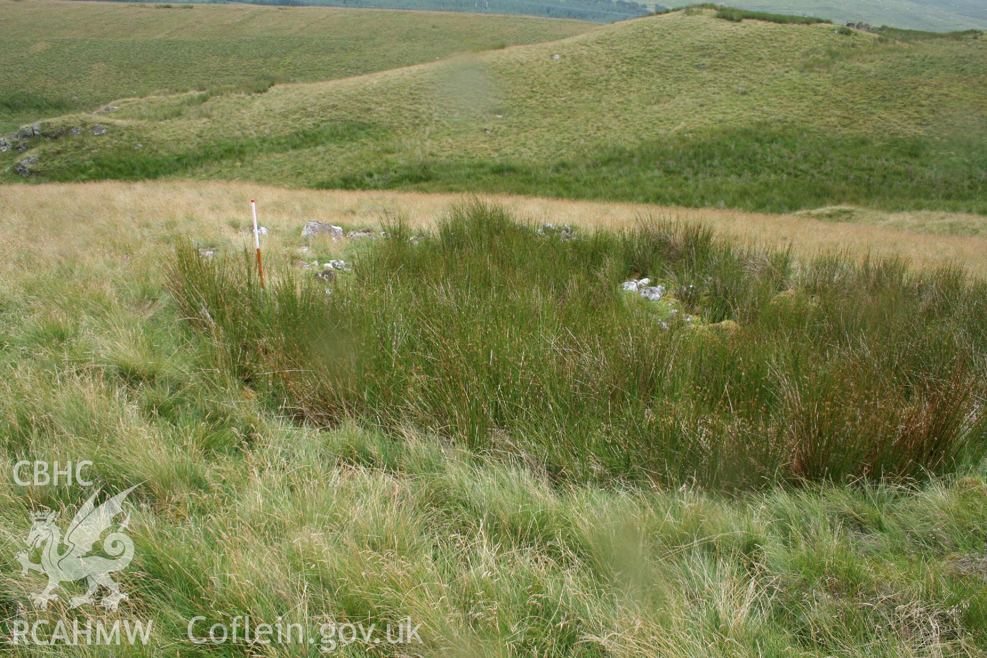 Digital Colour photograph of Ffridd Craig Henllan longhouse III taken on 31/07/2008 by P.J. Schofield during the Arenig Fach Upland Survey undertaken by Oxford Archaeology North.