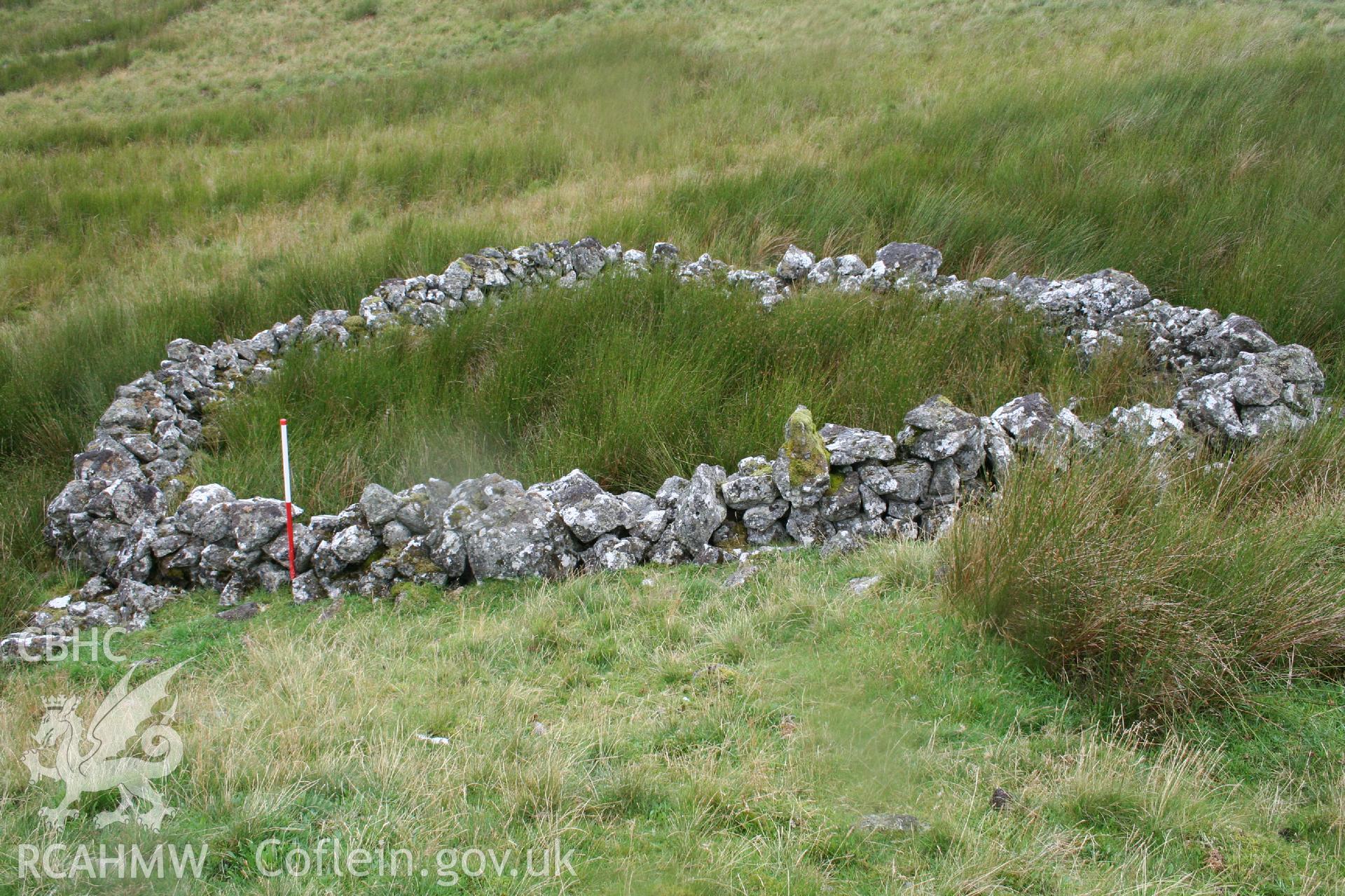 Digital Colour photograph of Ffridd Craig Henllan sheep fold II taken on 31/07/2008 by P.J. Schofield during the Arenig Fach Upland Survey undertaken by Oxford Archaeology North.