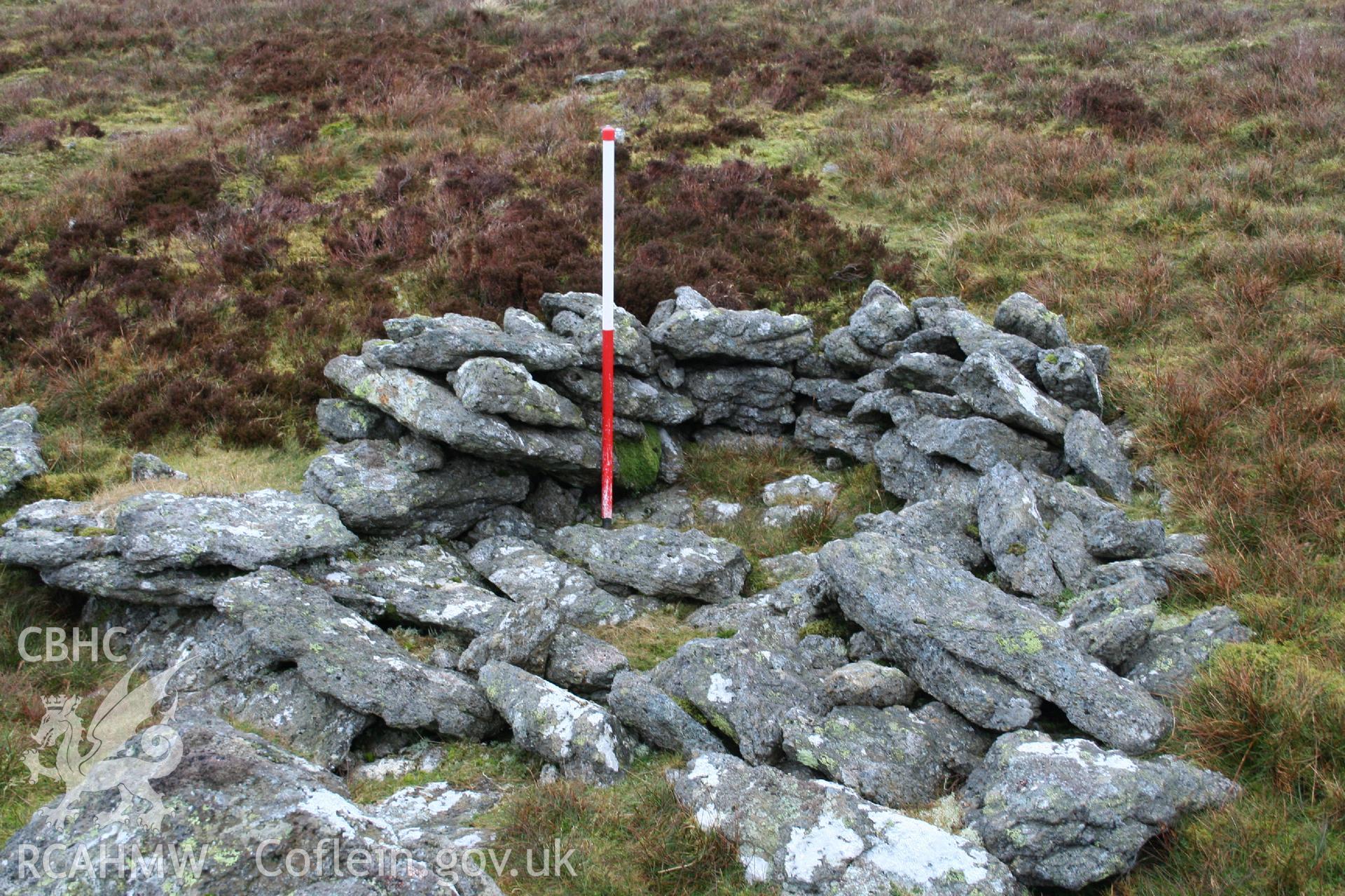 Digital Colour photograph of Llechwedd-Llyfn shepherds shelter IV taken on 14/01/2009 by P.J. Schofield during the Arenig Fach Upland Survey undertaken by Oxford Archaeology North.