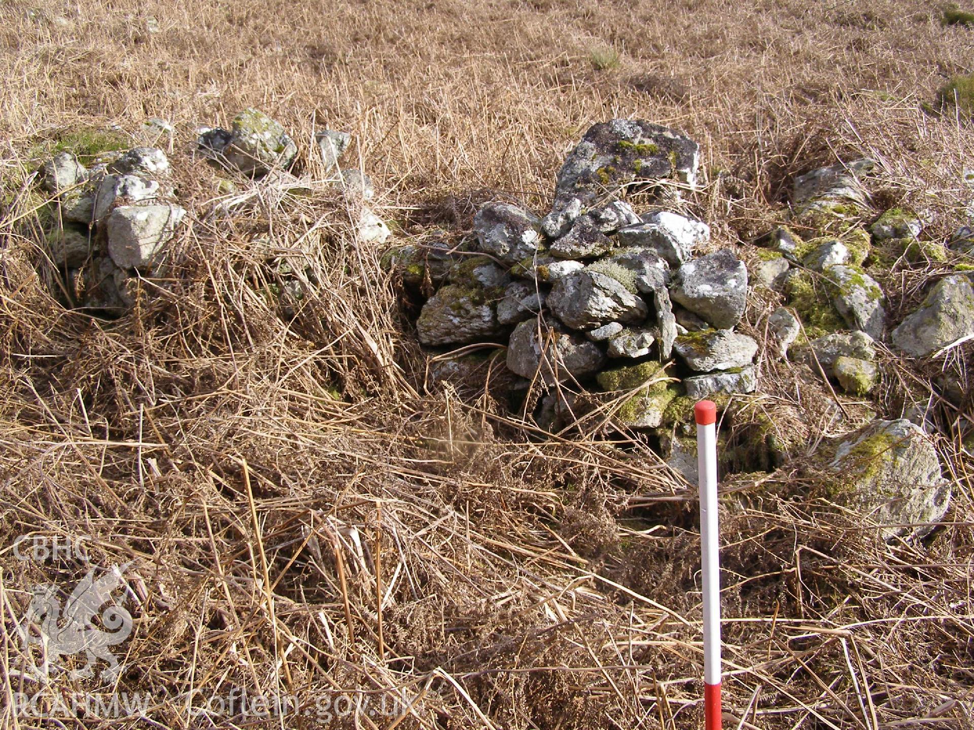 Digital Colour photograph of Ffridd Bwich-Graianog longhouse I taken on 24/02/2009 by P.J. Schofield during the Arenig Fach Upland Survey undertaken by Oxford Archaeology North.