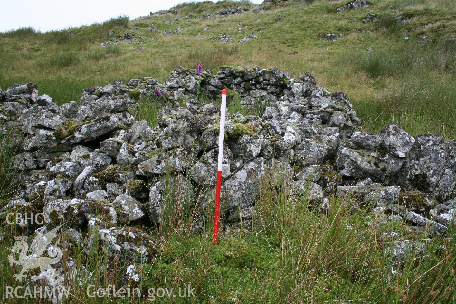 Digital Colour photograph of Ffridd Craig Henllan platform house II taken on 31/07/2008 by P.J. Schofield during the Arenig Fach Upland Survey undertaken by Oxford Archaeology North.