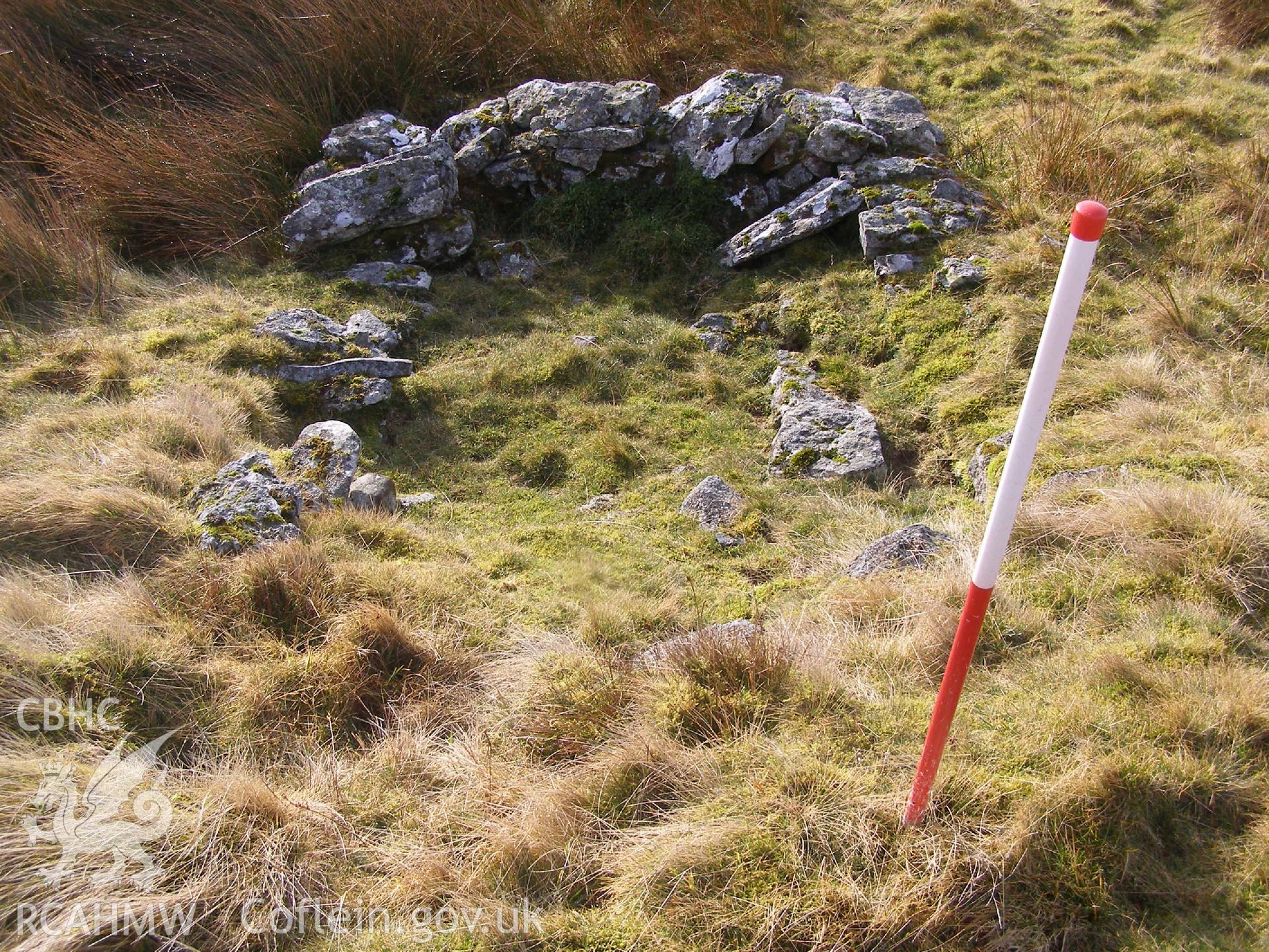 Digital Colour photograph of Trum Nant-Fach shepherds shelter taken on 25/02/2009 by P.J. Schofield during the Arenig Fach Upland Survey undertaken by Oxford Archaeology North.