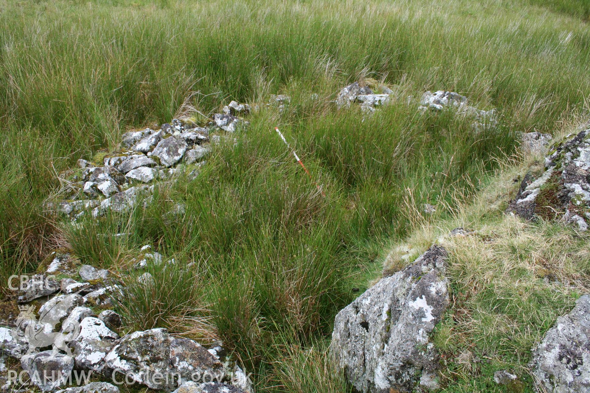 Digital Colour photograph of Craig Henllan sheep fold II taken on 31/07/2008 by P.J. Schofield during the Arenig Fach Upland Survey undertaken by Oxford Archaeology North.