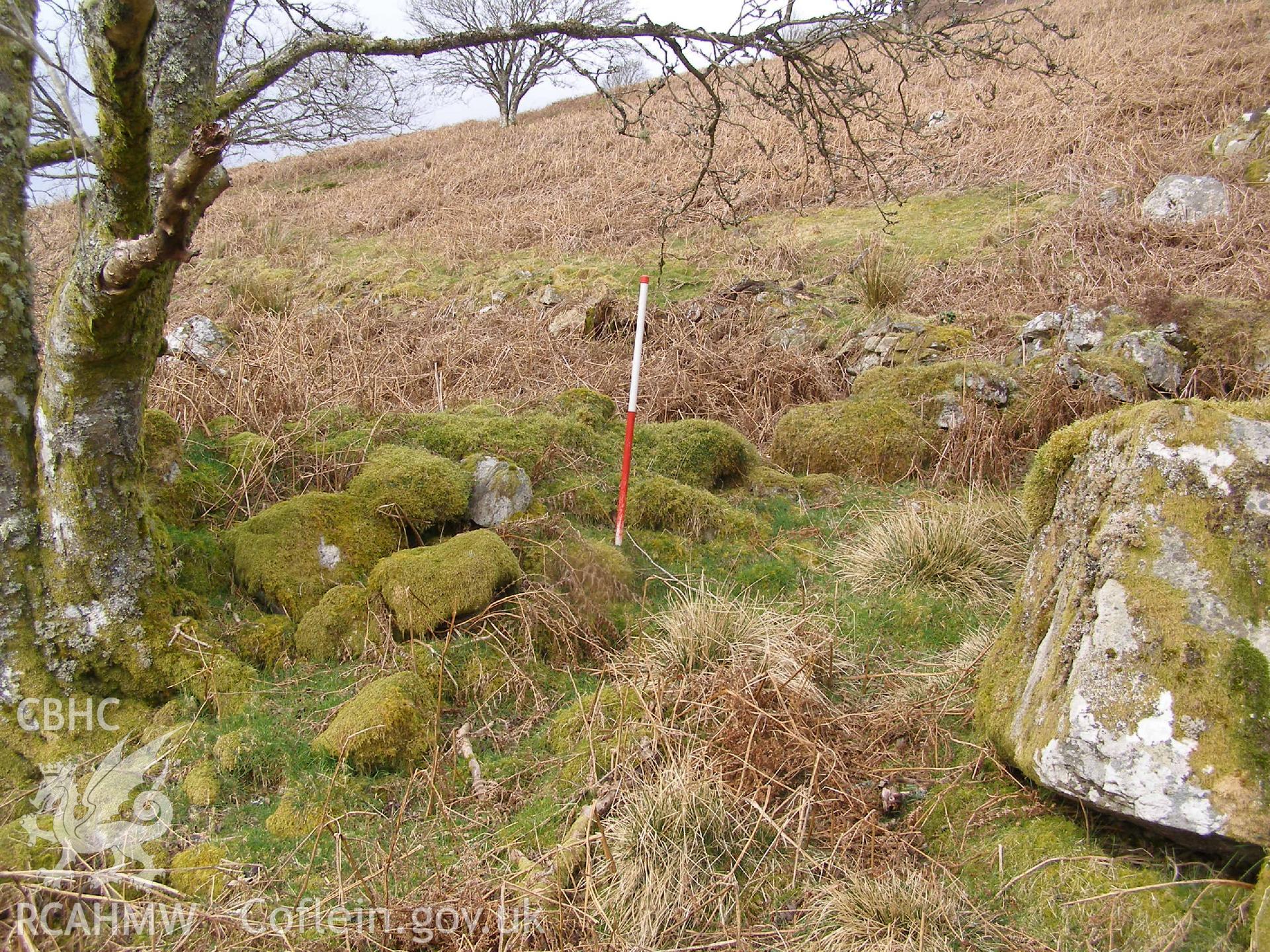 Digital Colour photograph of Ffridd Bwich-Graianog building platform taken on 24/02/2009 by P.J. Schofield during the Arenig Fach Upland Survey undertaken by Oxford Archaeology North.