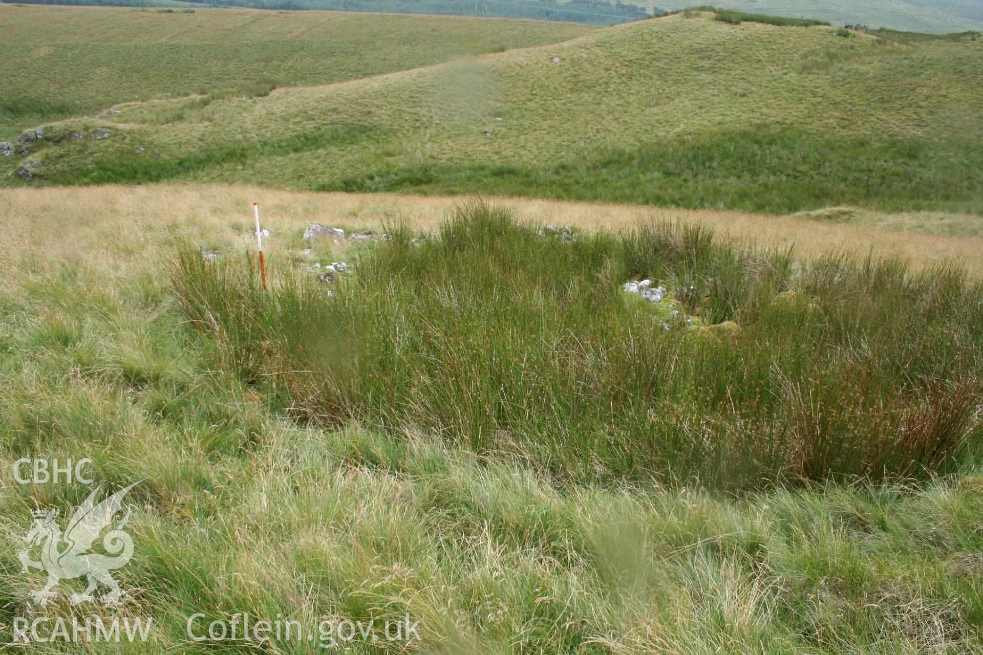 Digital Colour photograph of Ffridd Craig Henllan longhouse III taken on 31/07/2008 by P.J. Schofield during the Arenig Fach Upland Survey undertaken by Oxford Archaeology North.