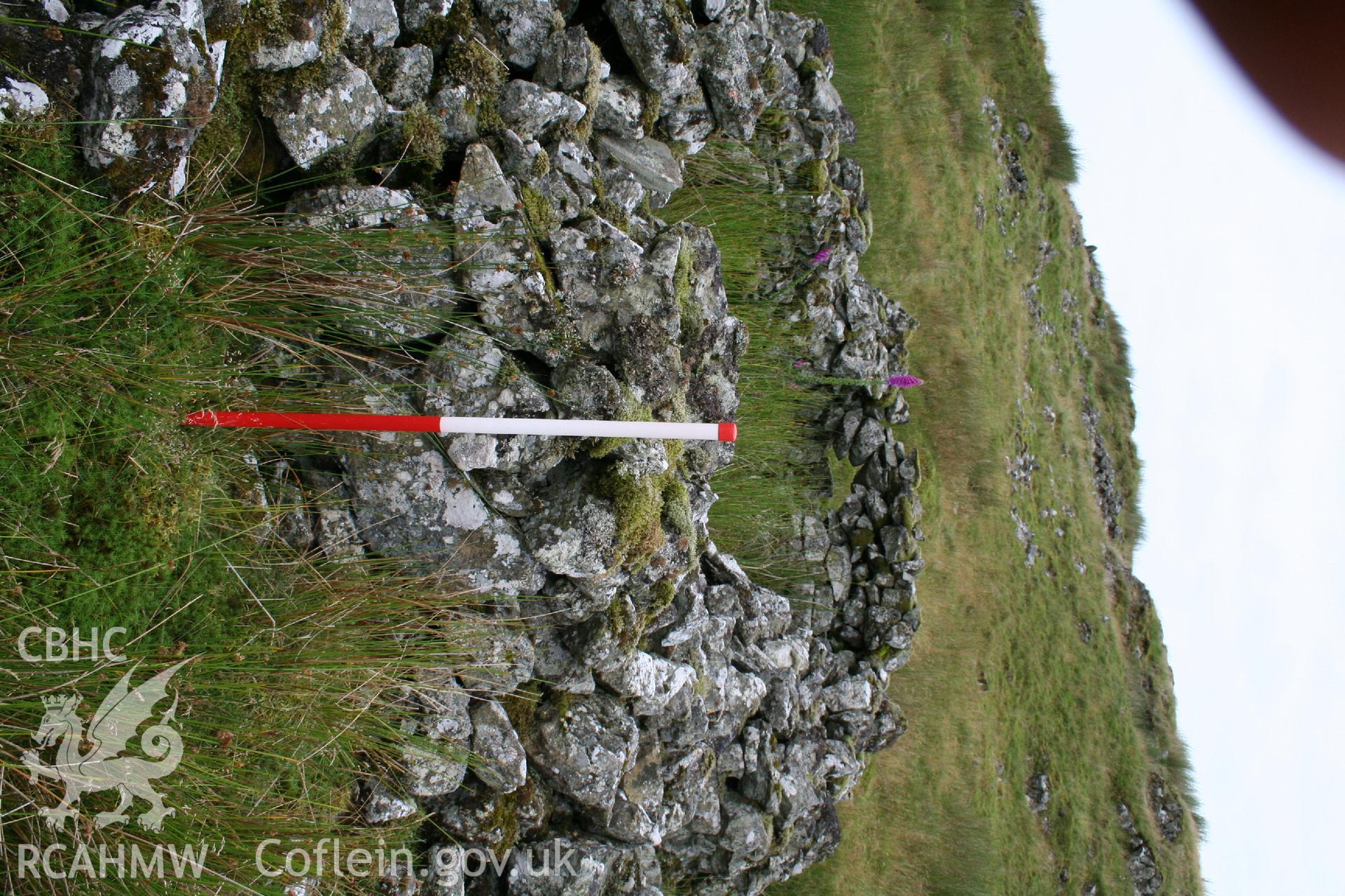 Digital Colour photograph of Ffridd Craig Henllan longhouse I taken on 31/07/2008 by P.J. Schofield during the Arenig Fach Upland Survey undertaken by Oxford Archaeology North.