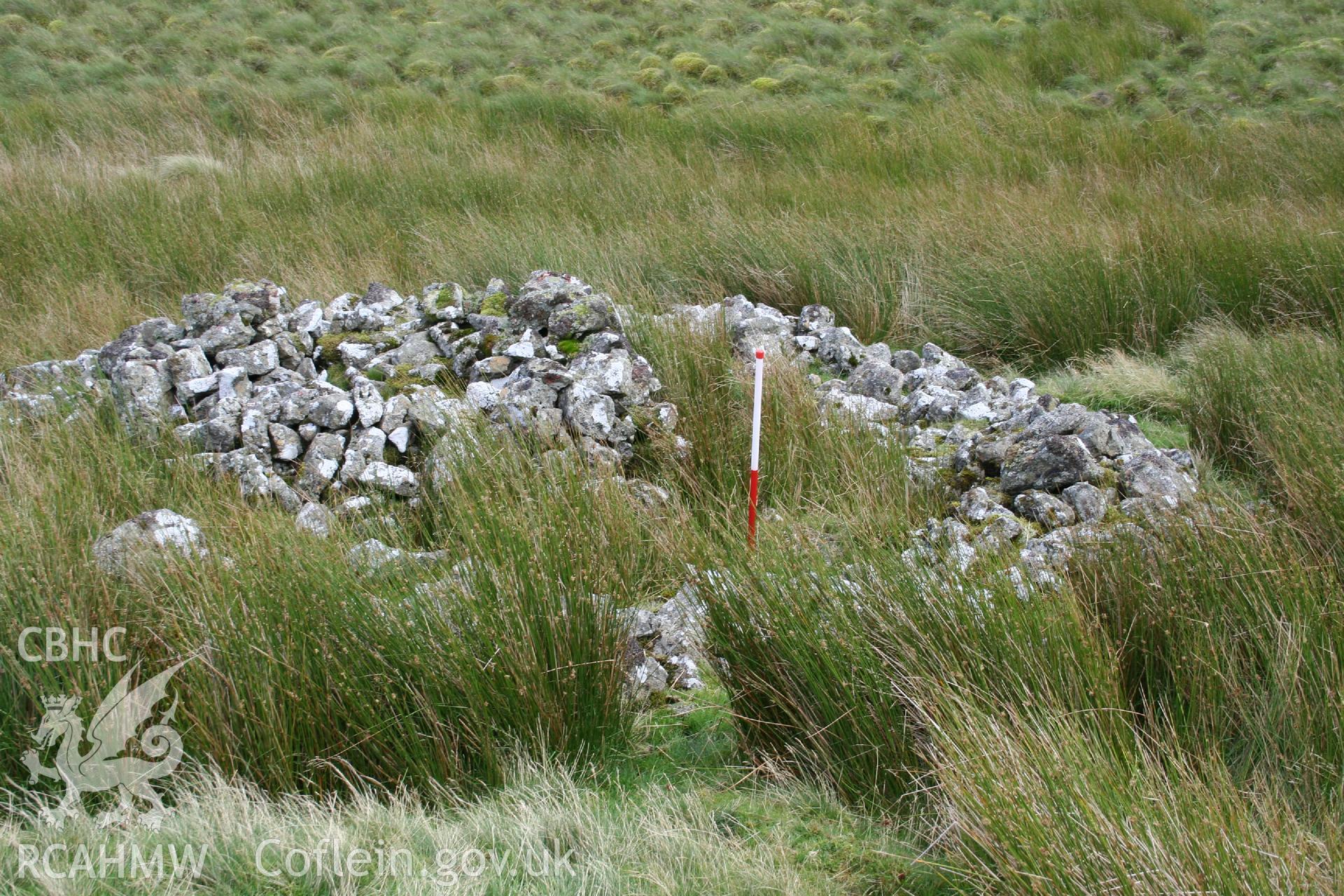 Digital Colour photograph of Ffridd Craig Henllan platform house I taken on 01/09/2008 by P.J. Schofield during the Arenig Fach Upland Survey undertaken by Oxford Archaeology North.
