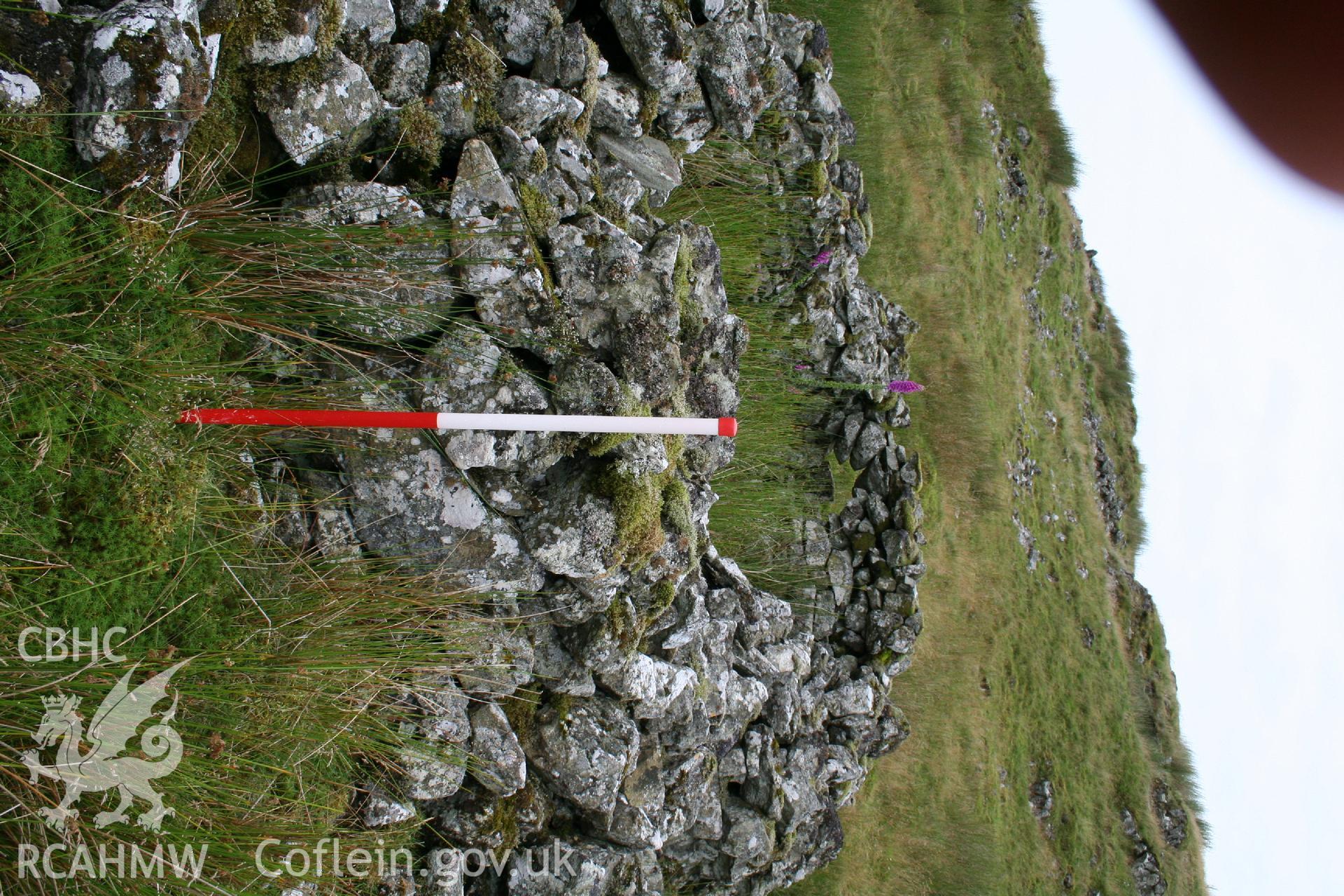 Digital Colour photograph of Ffridd Craig Henllan longhouse I taken on 31/07/2008 by P.J. Schofield during the Arenig Fach Upland Survey undertaken by Oxford Archaeology North.