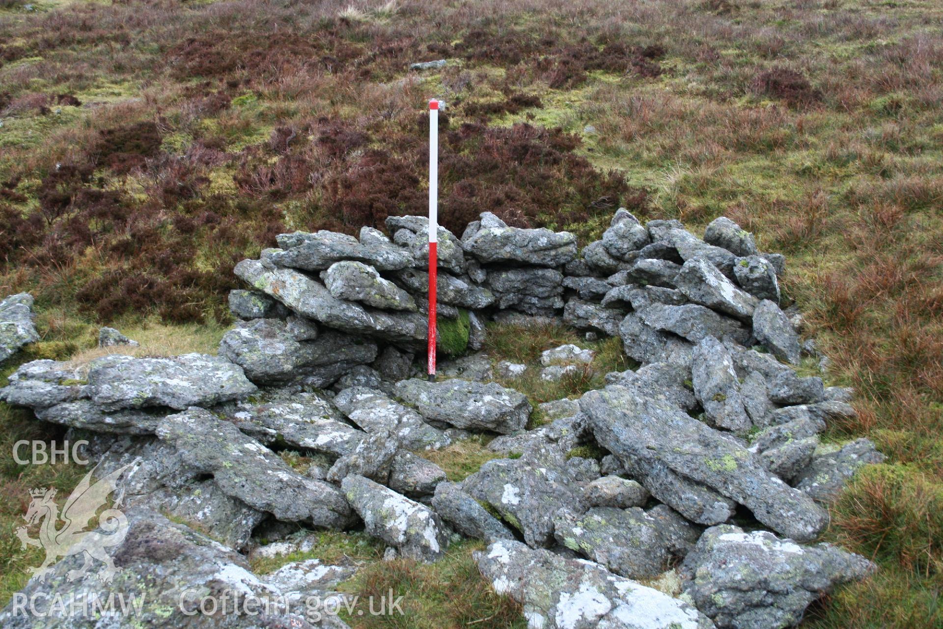 Digital Colour photograph of Llechwedd-Llyfn shepherds shelter IV taken on 14/01/2009 by P.J. Schofield during the Arenig Fach Upland Survey undertaken by Oxford Archaeology North.