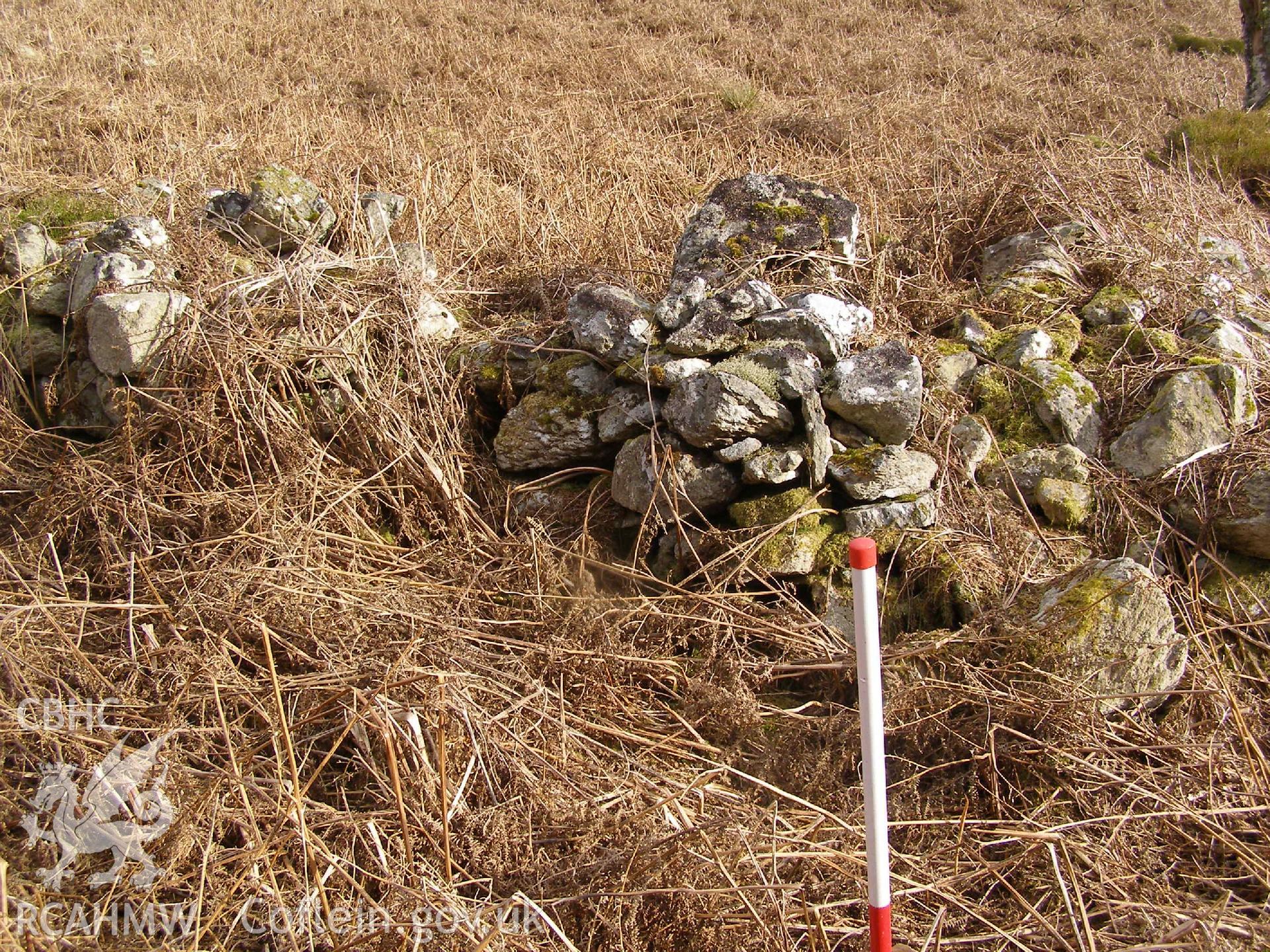 Digital Colour photograph of Ffridd Bwich-Graianog longhouse I taken on 24/02/2009 by P.J. Schofield during the Arenig Fach Upland Survey undertaken by Oxford Archaeology North.