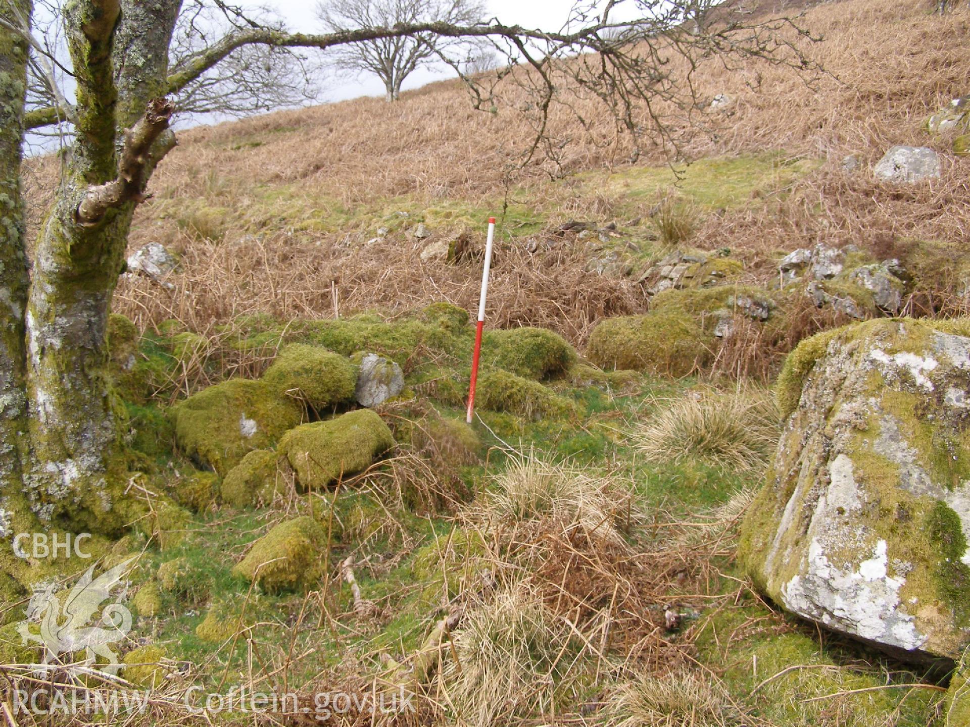 Digital Colour photograph of Ffridd Bwich-Graianog building platform taken on 24/02/2009 by P.J. Schofield during the Arenig Fach Upland Survey undertaken by Oxford Archaeology North.