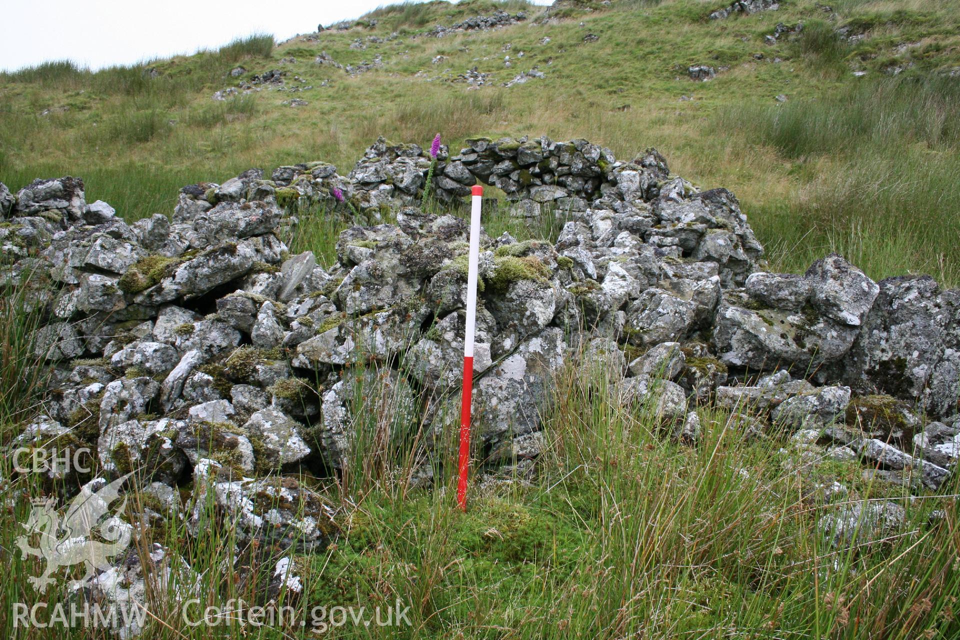 Digital Colour photograph of Ffridd Craig Henllan platform house II taken on 31/07/2008 by P.J. Schofield during the Arenig Fach Upland Survey undertaken by Oxford Archaeology North.