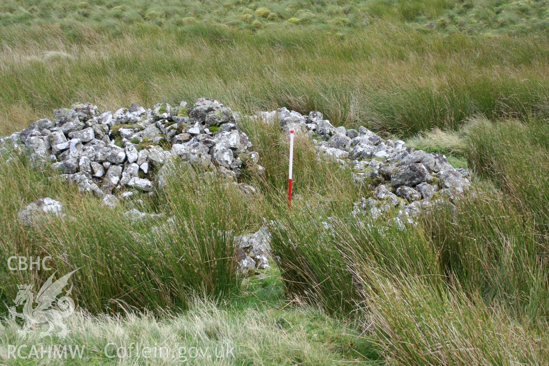 Digital Colour photograph of Ffridd Craig Henllan platform house I taken on 01/09/2008 by P.J. Schofield during the Arenig Fach Upland Survey undertaken by Oxford Archaeology North.