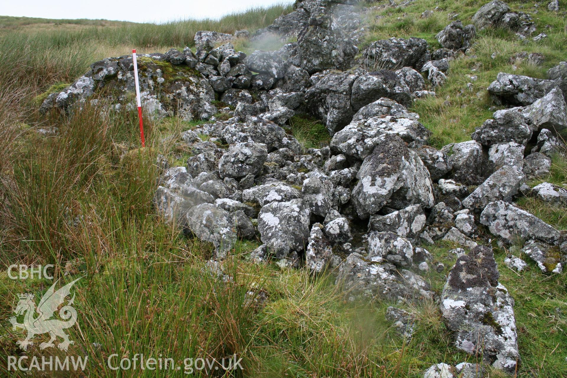 Digital Colour photograph of Ffridd Craig Henllan building platform III taken on 31/07/2008 by P.J. Schofield during the Arenig Fach Upland Survey undertaken by Oxford Archaeology North.