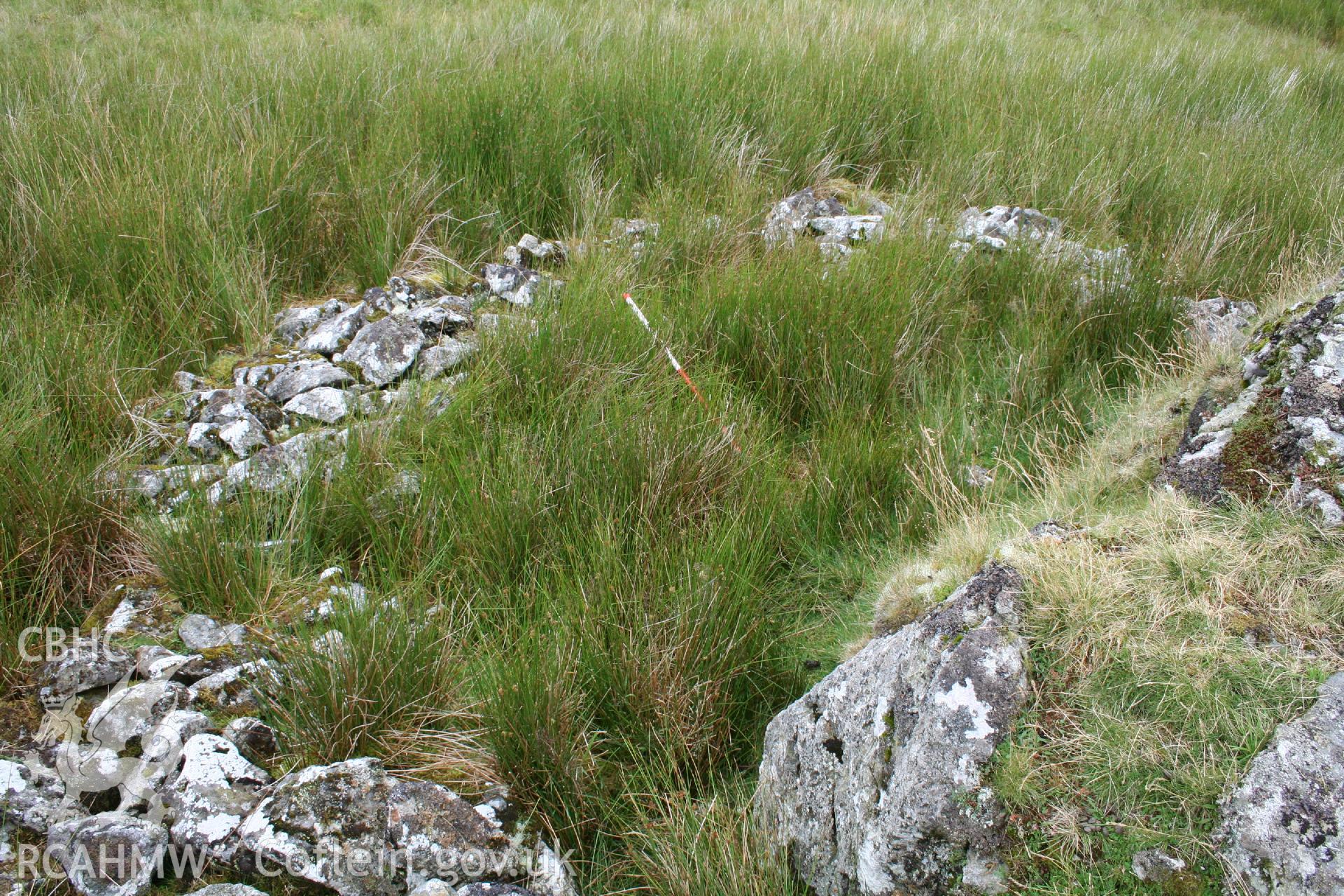 Digital Colour photograph of Craig Henllan sheep fold II taken on 31/07/2008 by P.J. Schofield during the Arenig Fach Upland Survey undertaken by Oxford Archaeology North.