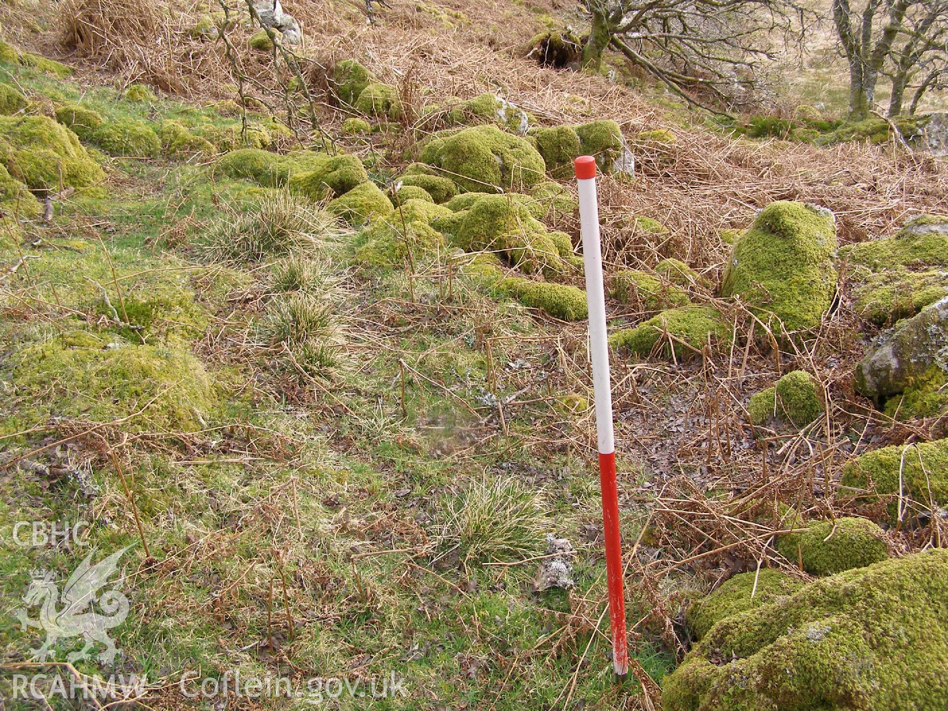 Digital Colour photograph of Ffridd Bwich-Graianog boundary wall I taken on 24/02/2009 by P.J. Schofield during the Arenig Fach Upland Survey undertaken by Oxford Archaeology North.