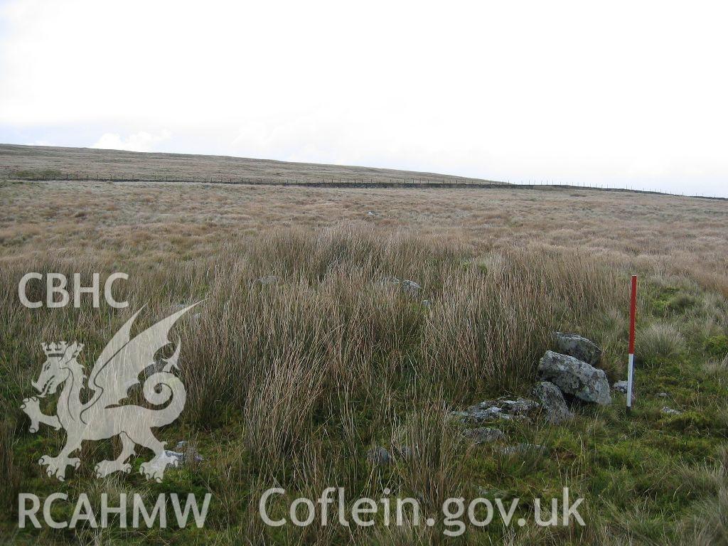 Digital colour photograph of Pen-y-Crug sheep pen taken on 13/11/2007 by K. Laws during the Llanegryn Upland Survey undertaken by Engineering Archaeological Services Ltd.