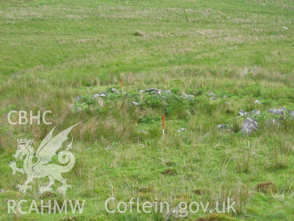 Digital colour photograph of a round house at Bryn Seward taken on 26/06/2007 by K. Laws during the Llanegryn Upland Survey undertaken by Engineering Archaeological Services Ltd.