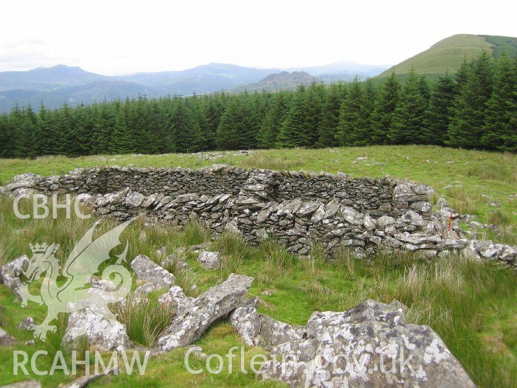 Digital colour photograph of Pen y Garn sheep fold I taken on 28/06/2007 by K. Laws during the Llanegryn Upland Survey undertaken by Engineering Archaeological Services Ltd.