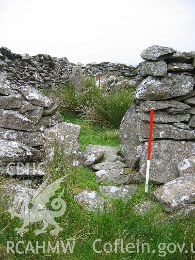 Digital colour photograph of Pen y Garn sheep fold I taken on 28/06/2007 by K. Laws during the Llanegryn Upland Survey undertaken by Engineering Archaeological Services Ltd.