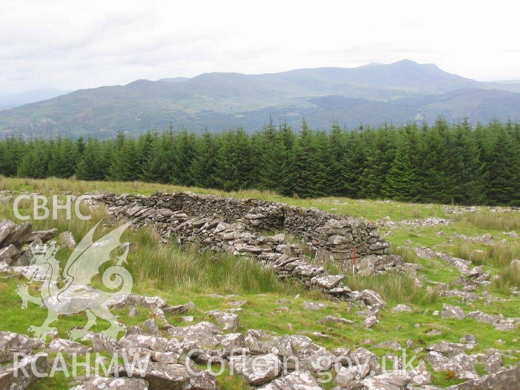 Digital colour photograph of Pen y Garn sheep fold I taken on 28/06/2007 by K. Laws during the Llanegryn Upland Survey undertaken by Engineering Archaeological Services Ltd.