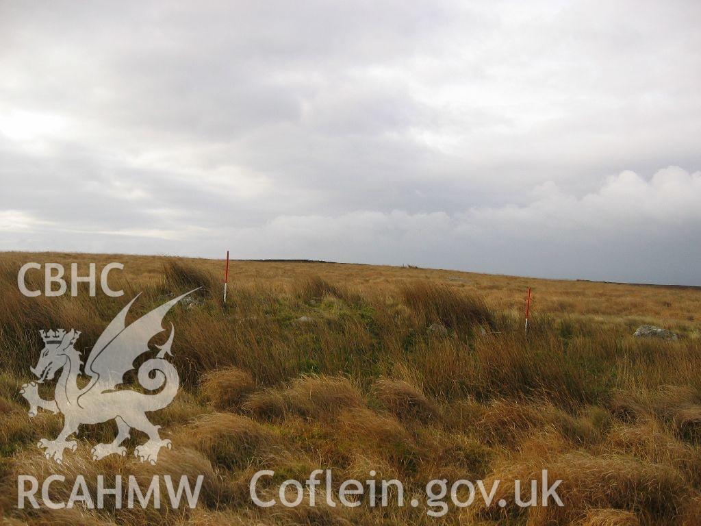 Digital colour photograph of Pen-y-Crug sheep pen taken on 13/11/2007 by K. Laws during the Llanegryn Upland Survey undertaken by Engineering Archaeological Services Ltd.