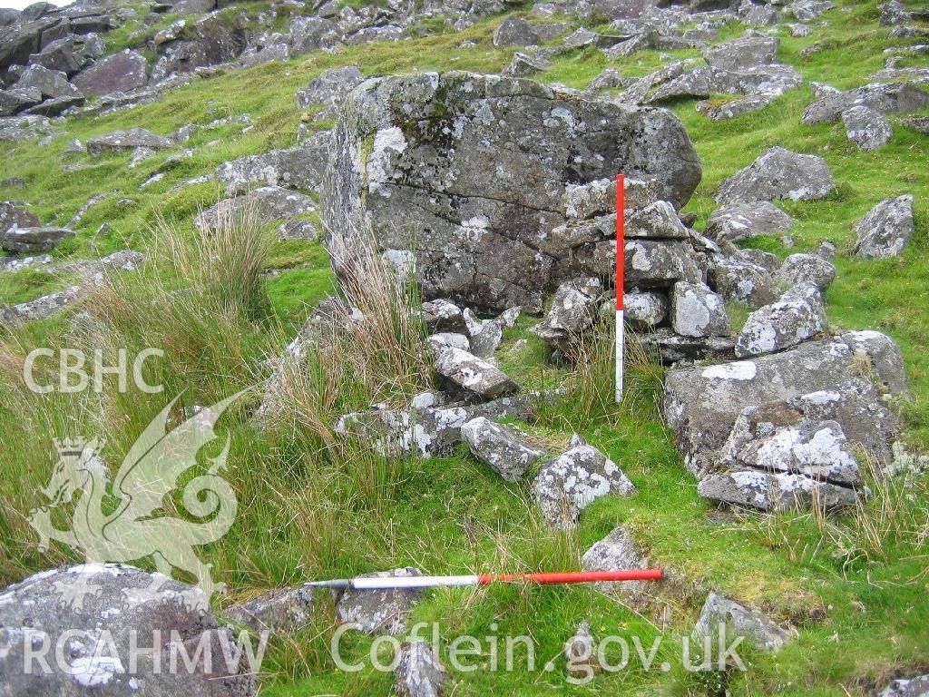 Digital colour photograph of Pen y Garn sheep pen IV taken on 28/06/2007 by K. Laws during the Llanegryn Upland Survey undertaken by Engineering Archaeological Services Ltd.