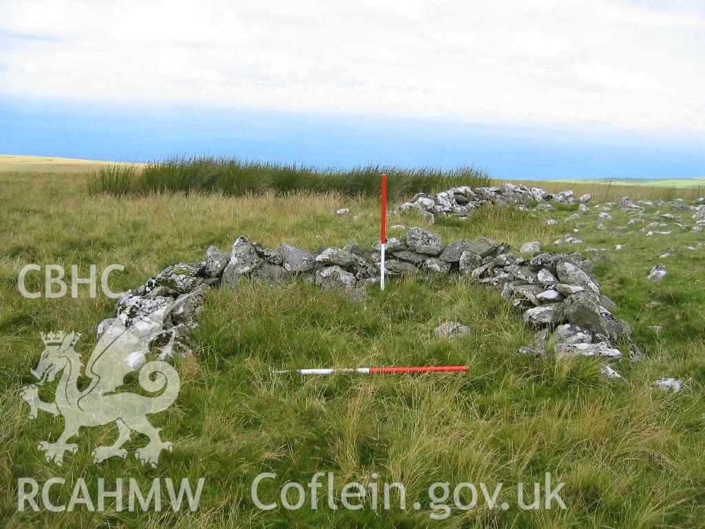 Digital colour photograph of Allt-Lwyd sheep pen III taken on 02/08/2007 by K. Laws during the Llanegryn Upland Survey undertaken by Engineering Archaeological Services Ltd.