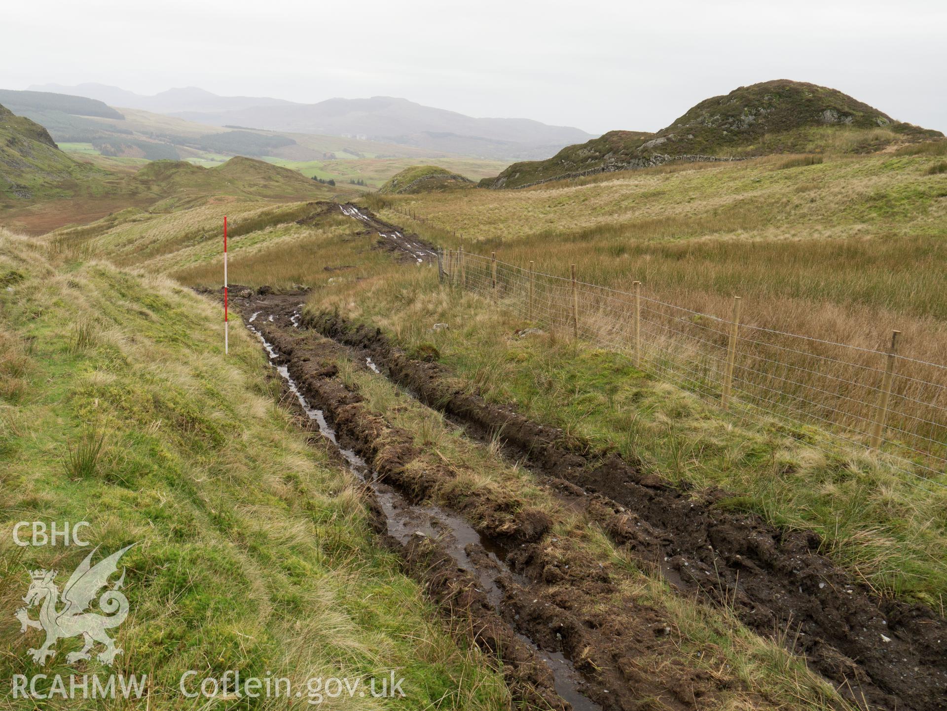 view looking SW showing depth of peat exposed by vehicle tracks.