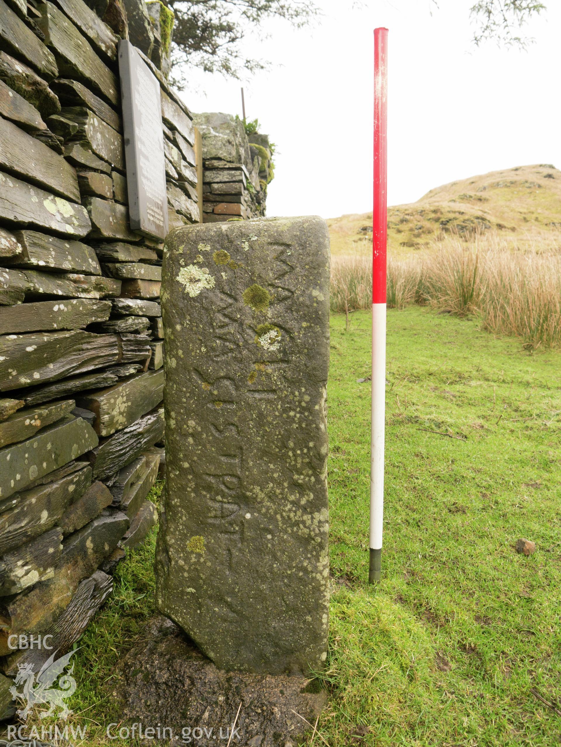 view of S side of replica Cantiorix stone.