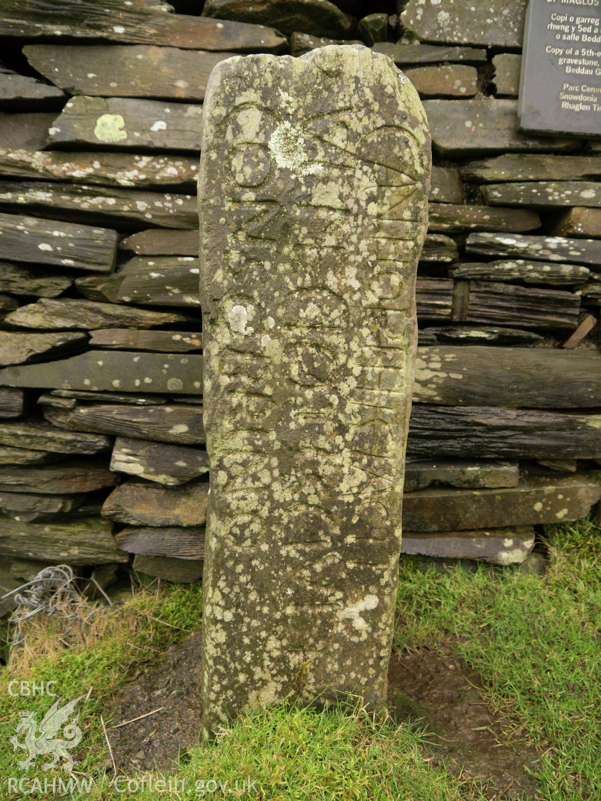 view of E side of replica Cantiorix stone.