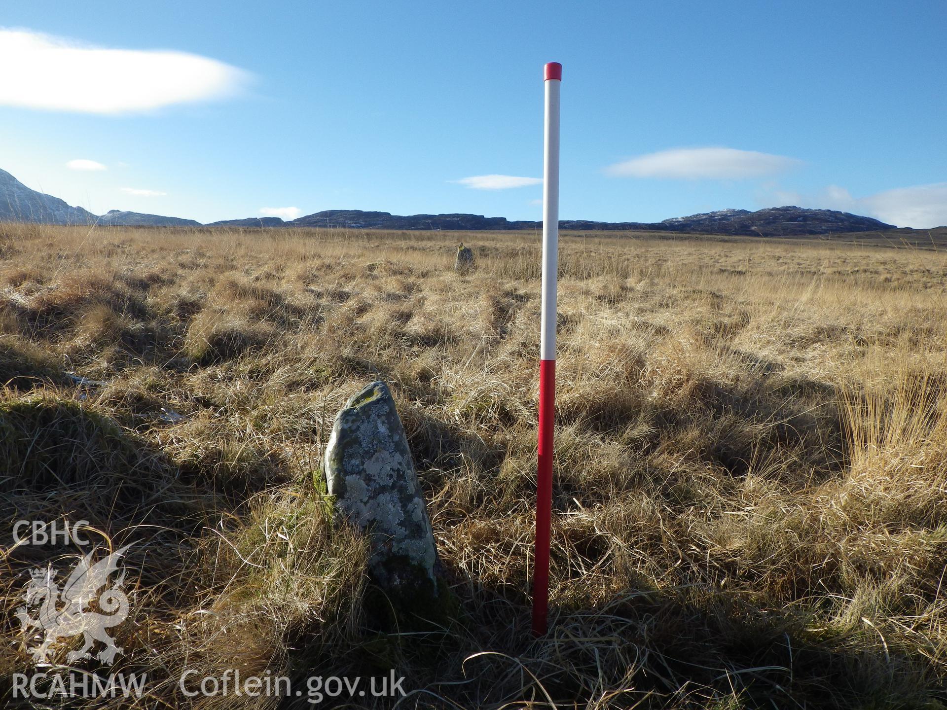 Upright standing stone, looking west