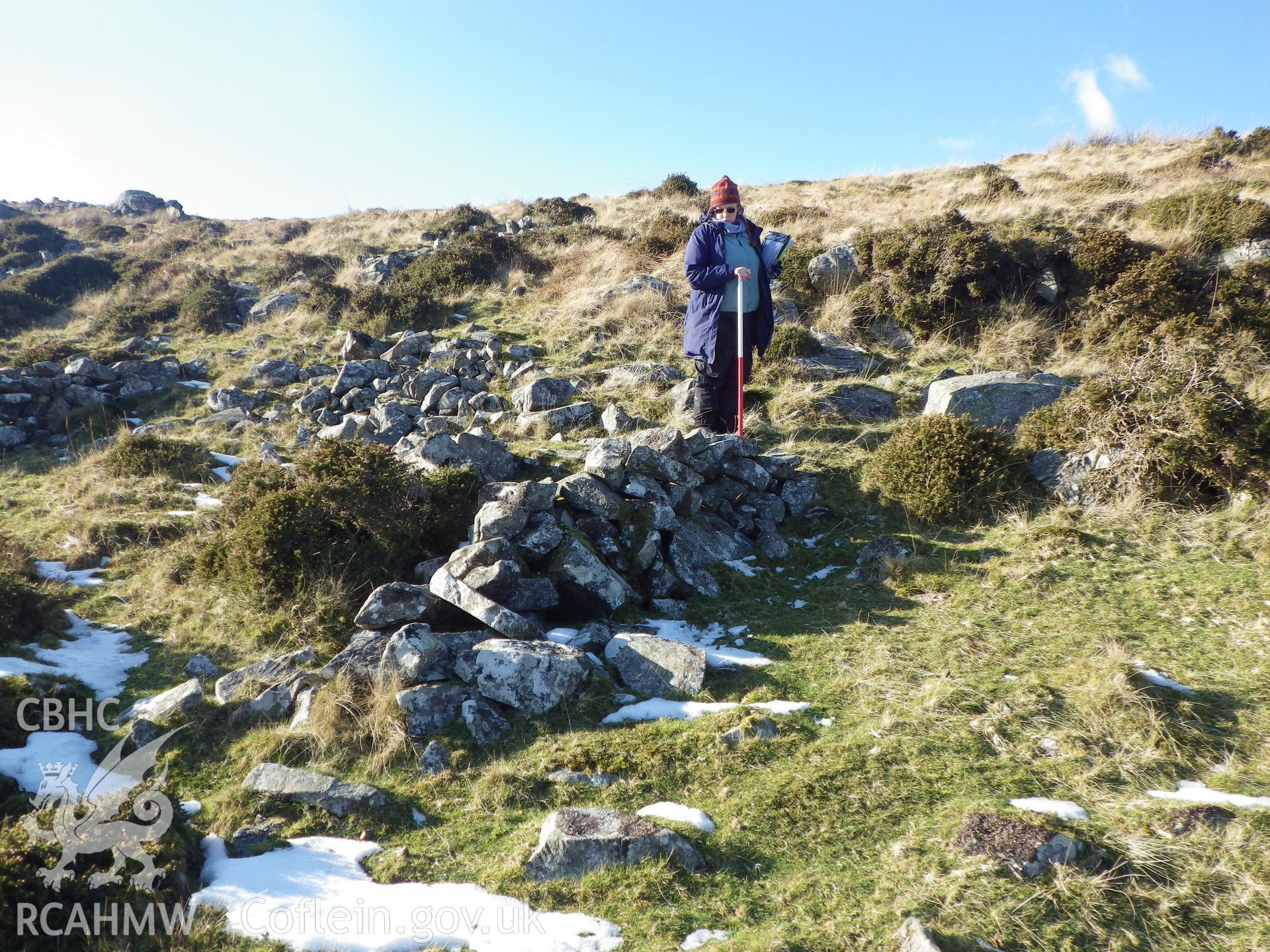 Section drystone wall/bield, looking northwest